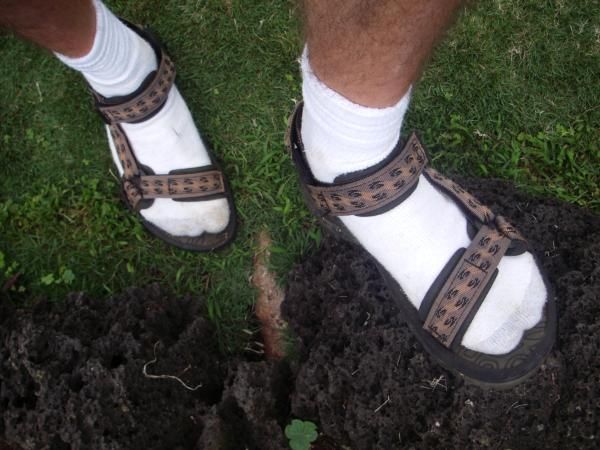 Forum member supplied image with no explanatory text