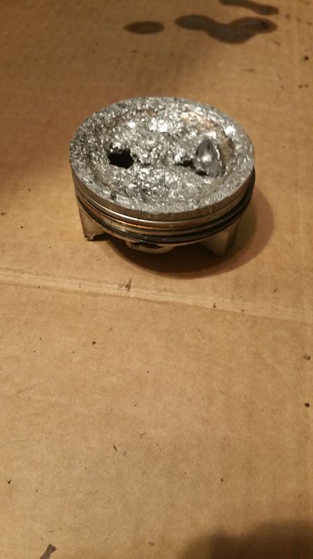 Forum member supplied image with no explanatory text