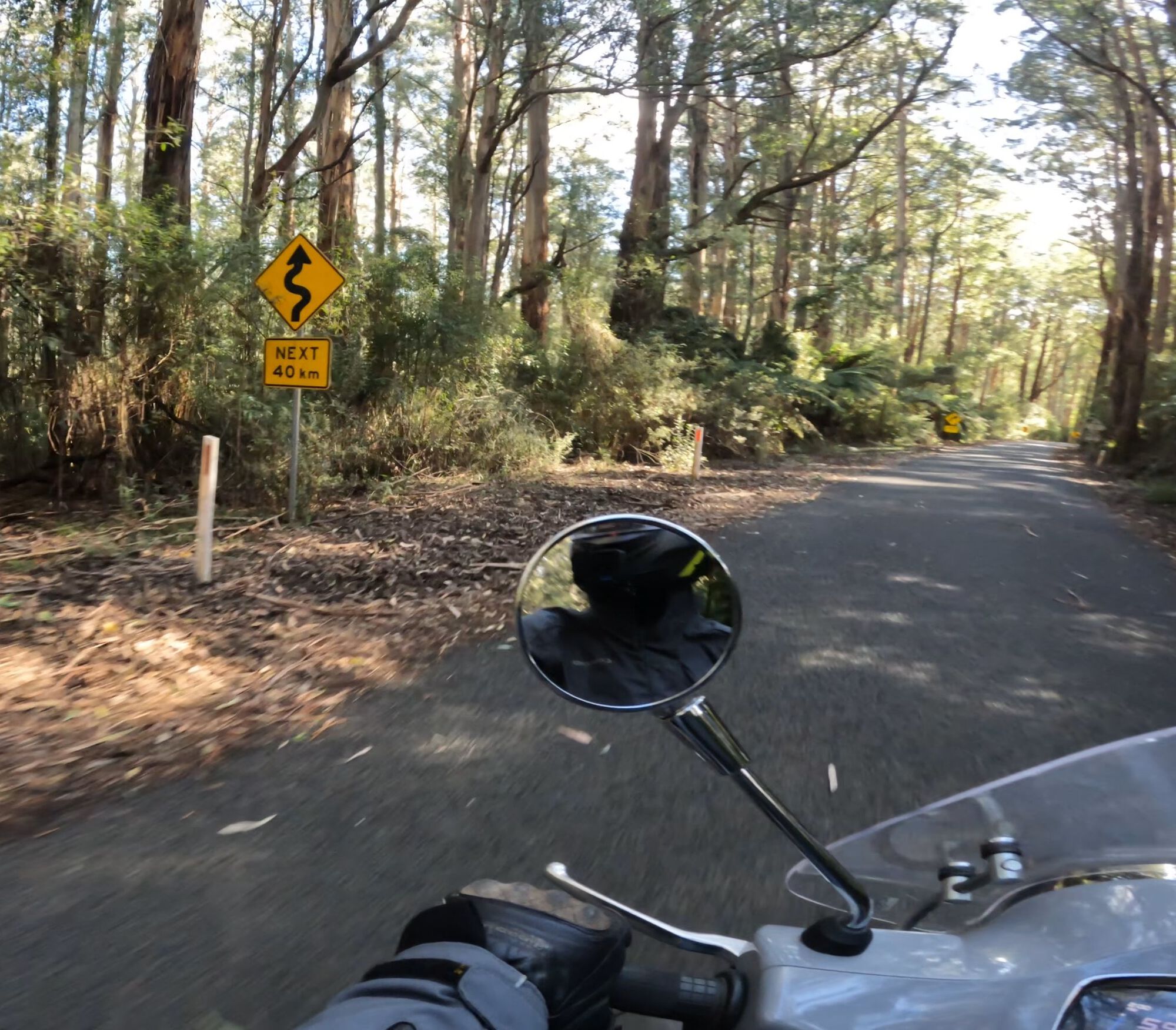 Forum member supplied image with no explanatory text