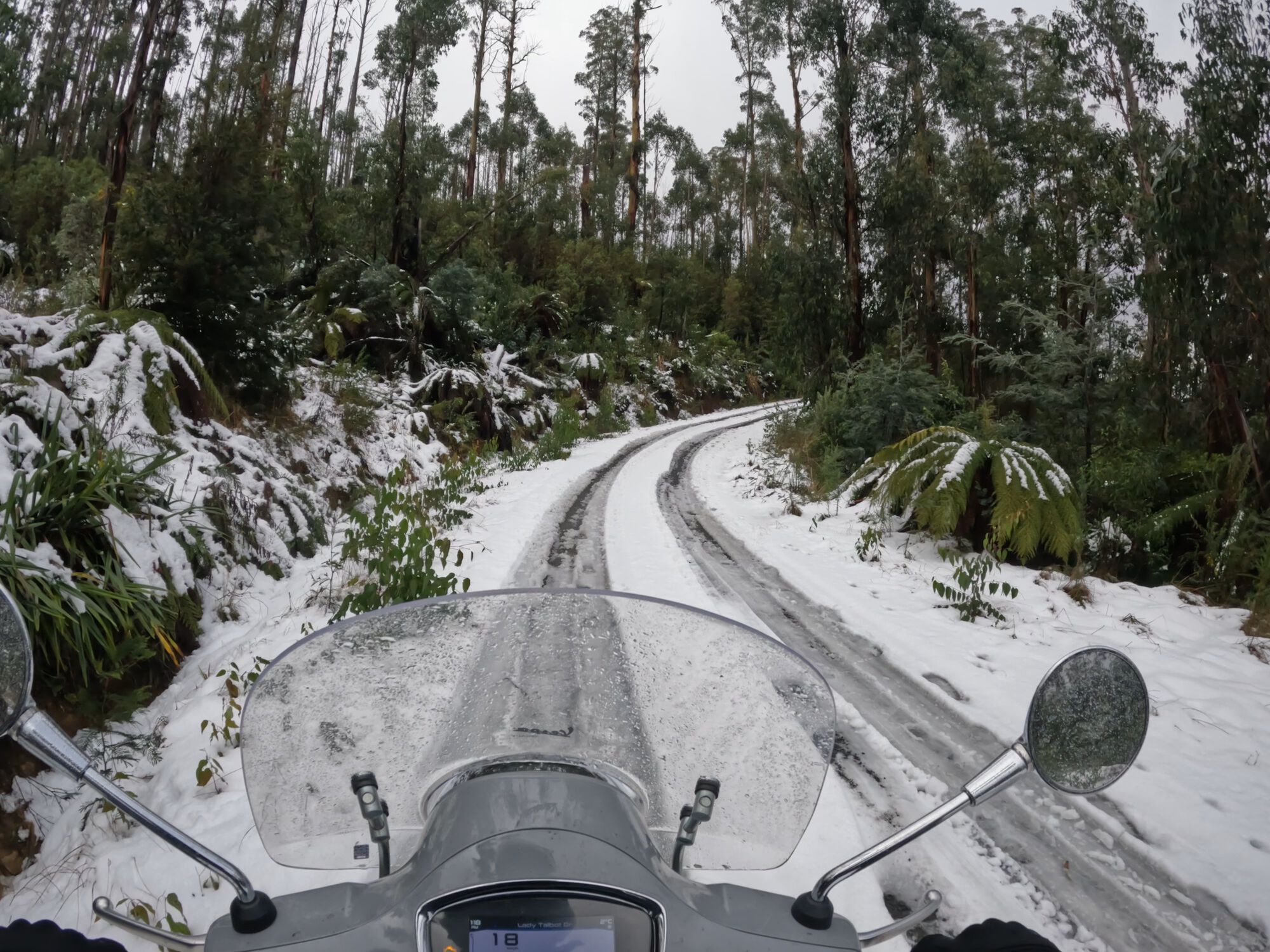 Forum member supplied image with no explanatory text