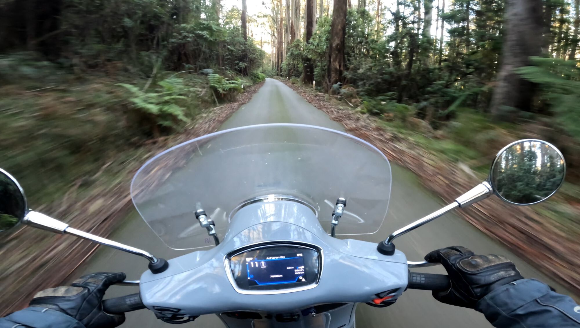 Forum member supplied image with no explanatory text