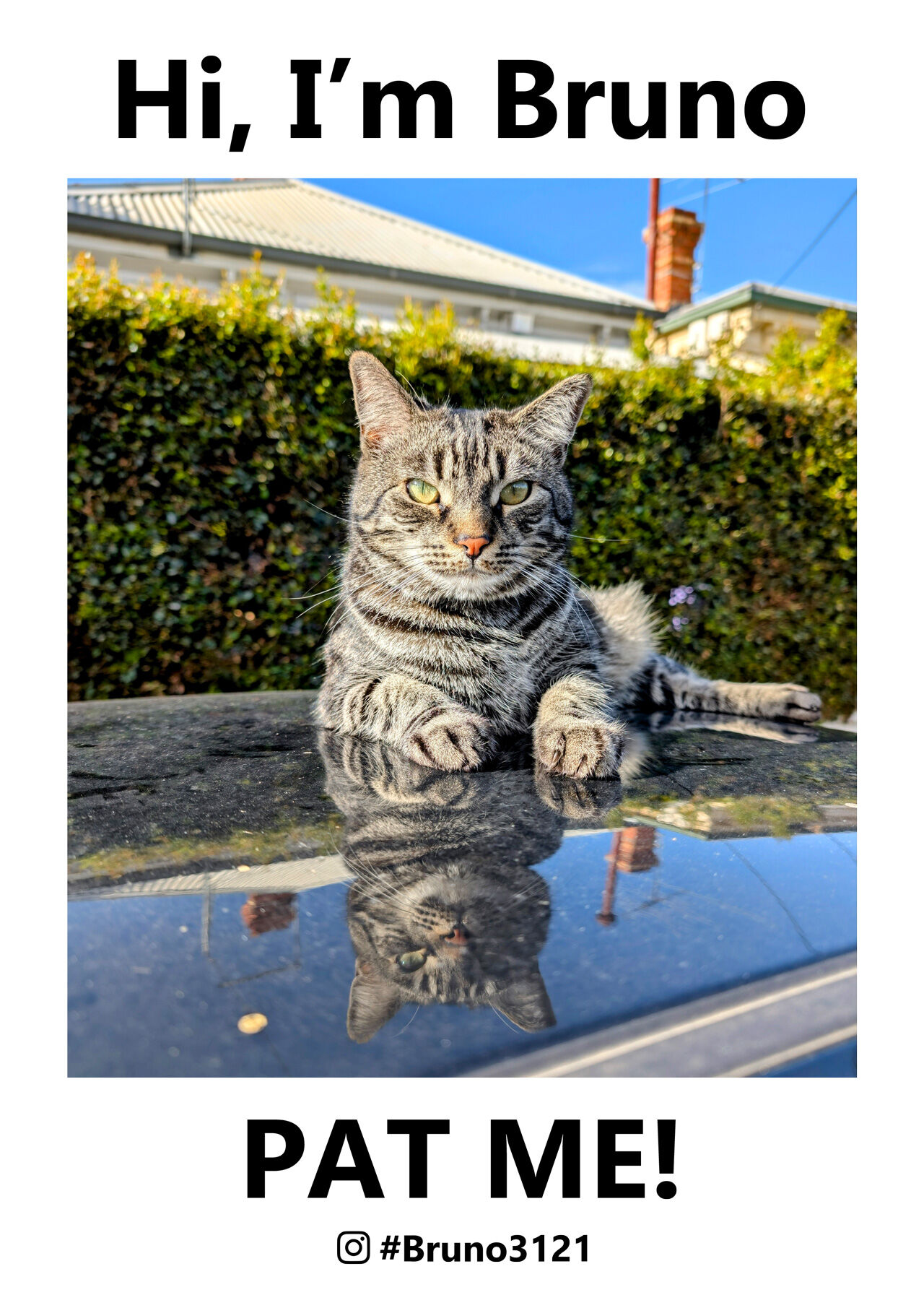 Forum member supplied image with no explanatory text