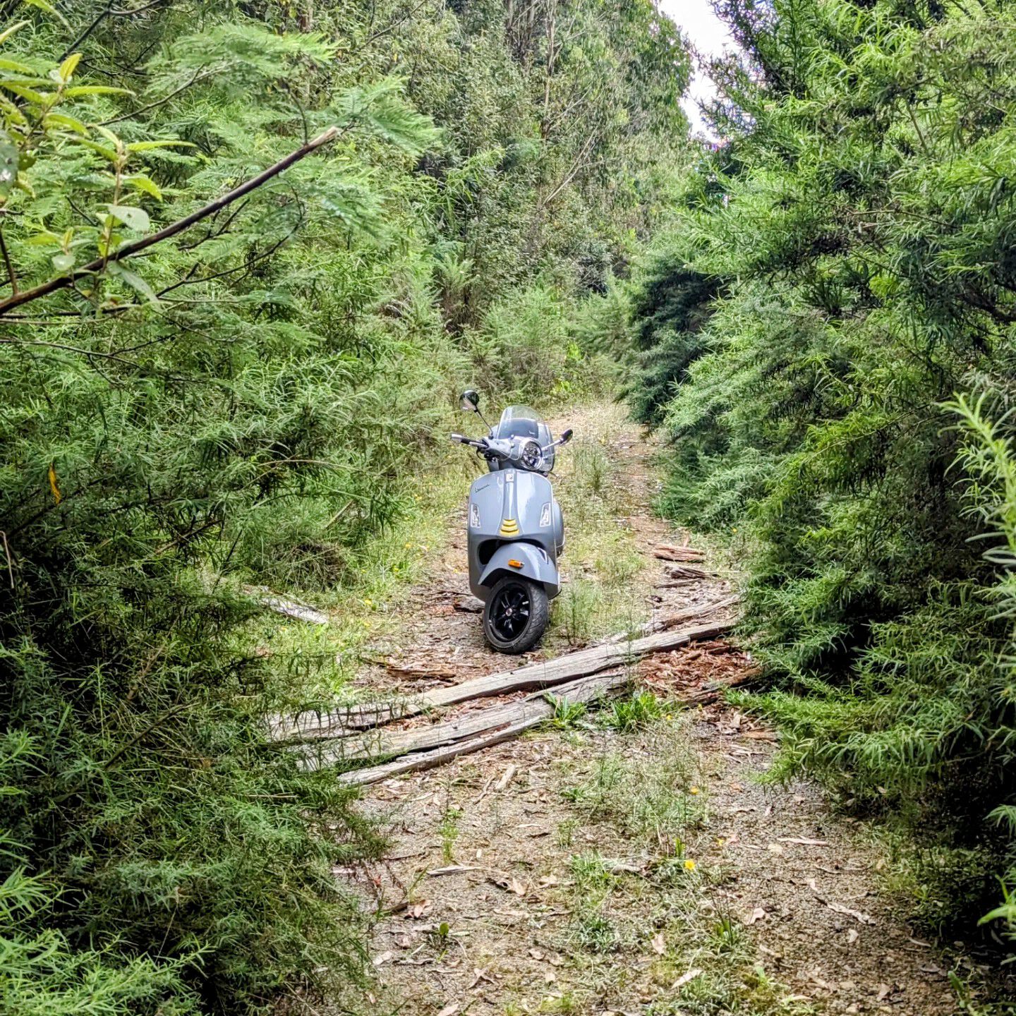 Forum member supplied image with no explanatory text