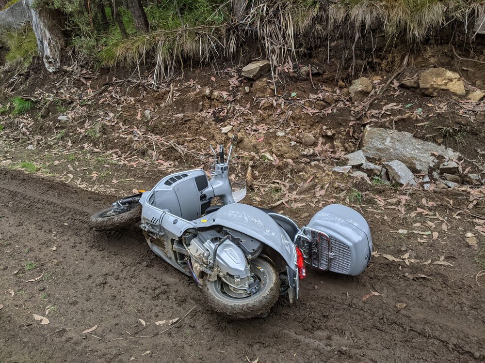 Mud mud glorious mud