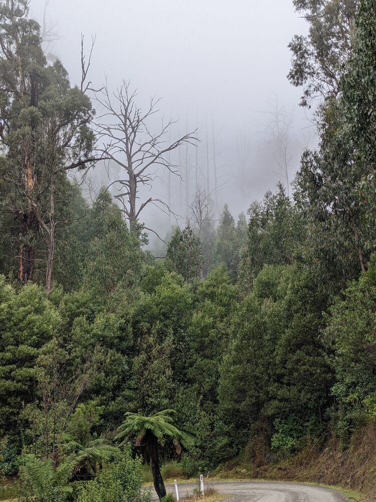 chilly morning in the mountains