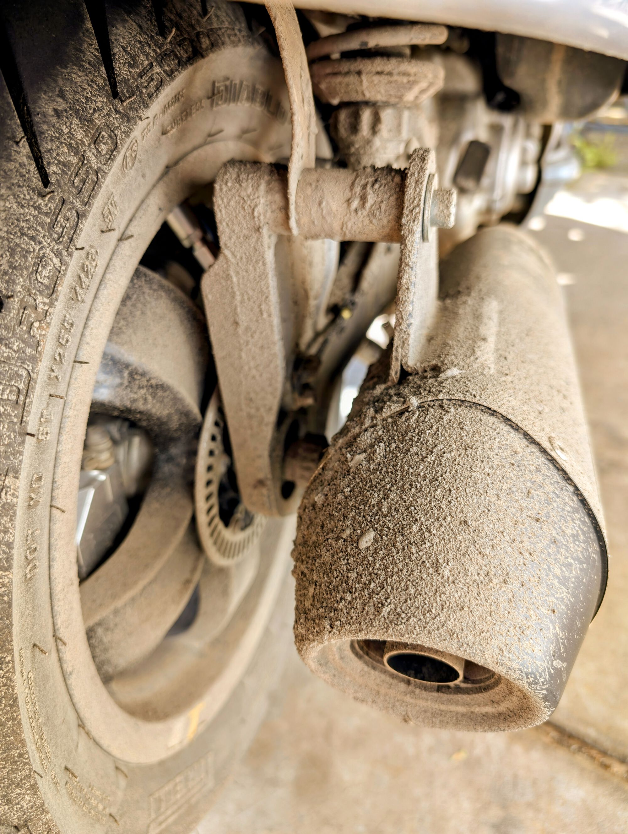 Forum member supplied image with no explanatory text