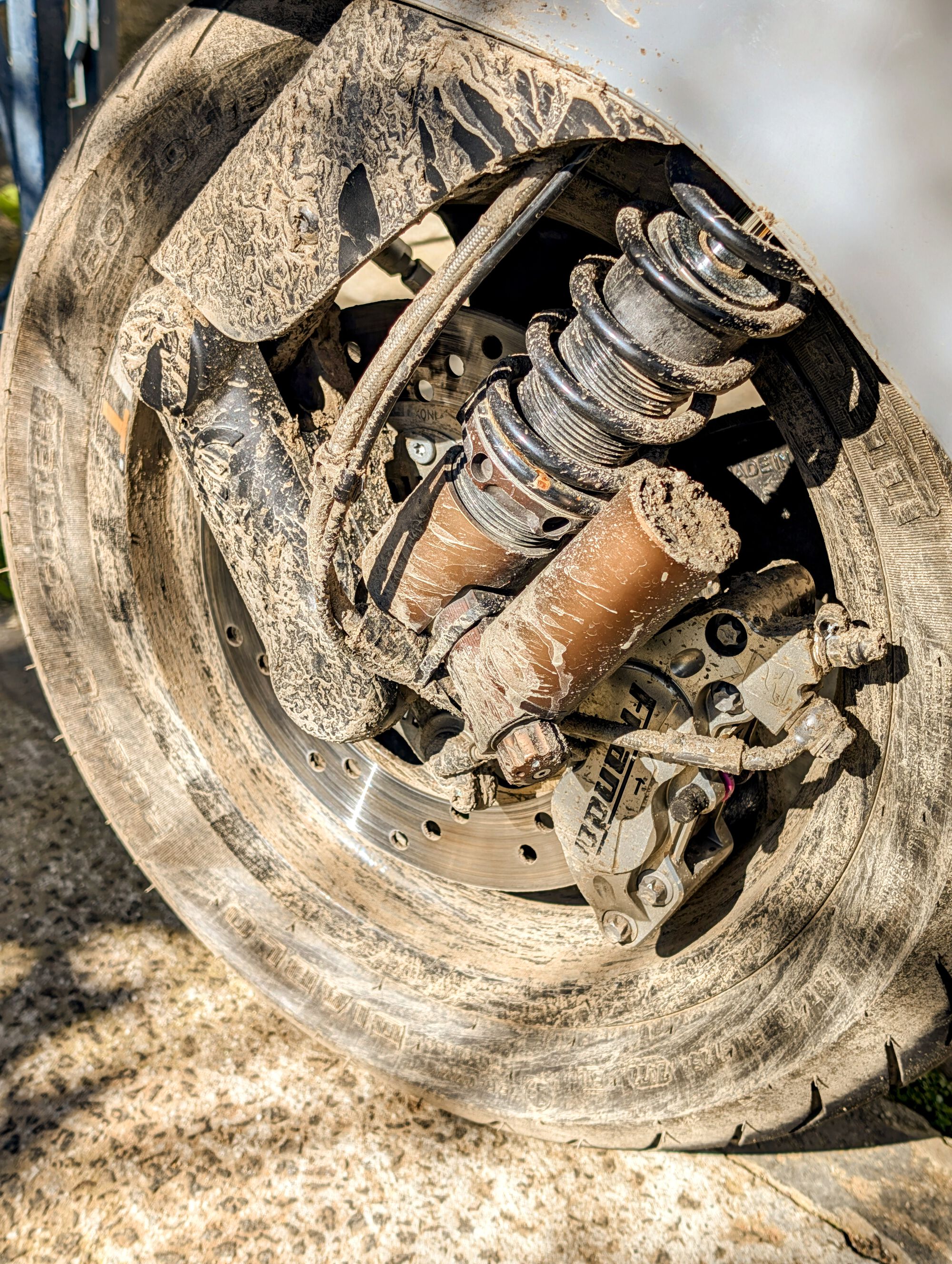 Forum member supplied image with no explanatory text