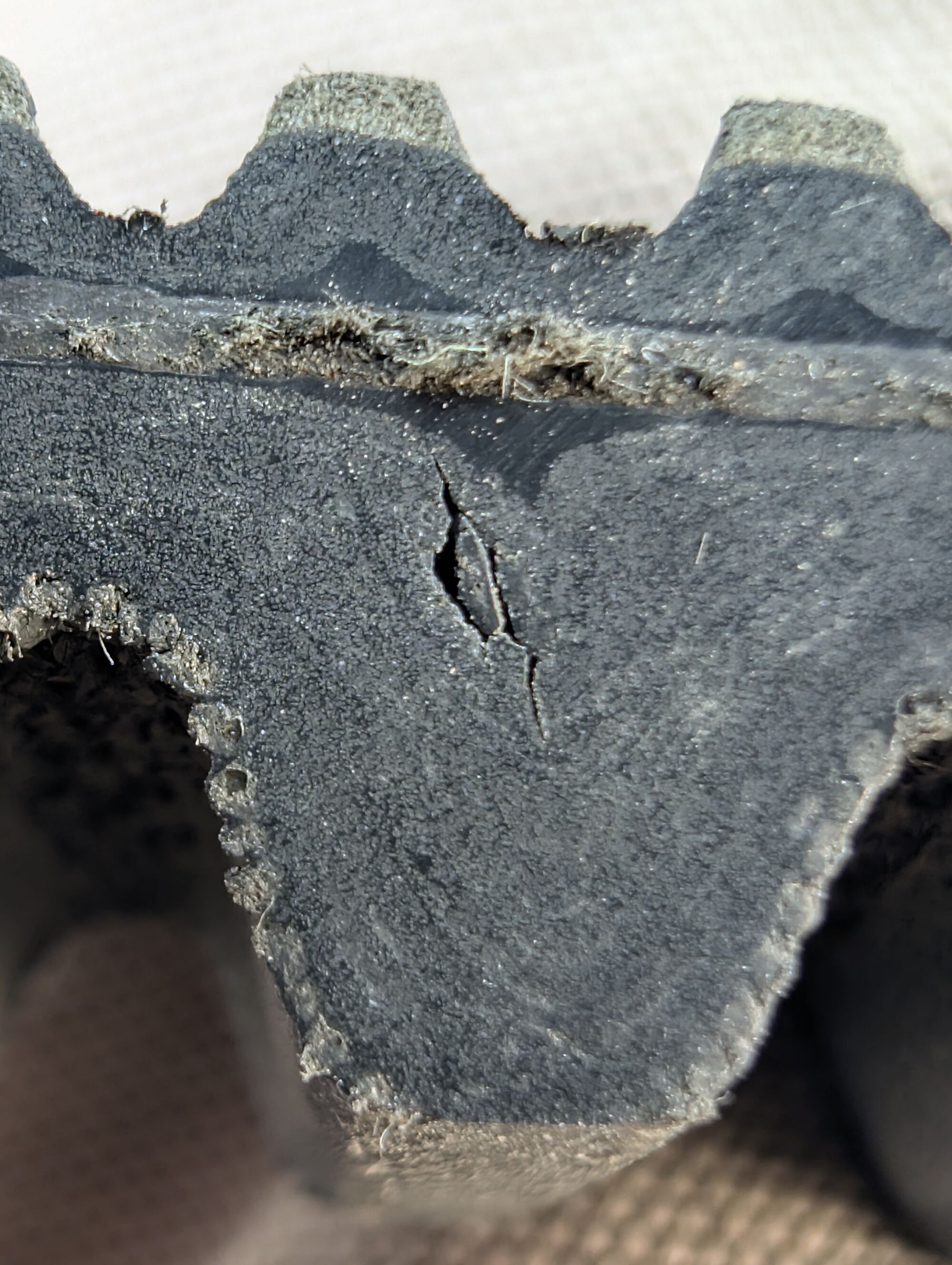 Forum member supplied image with no explanatory text