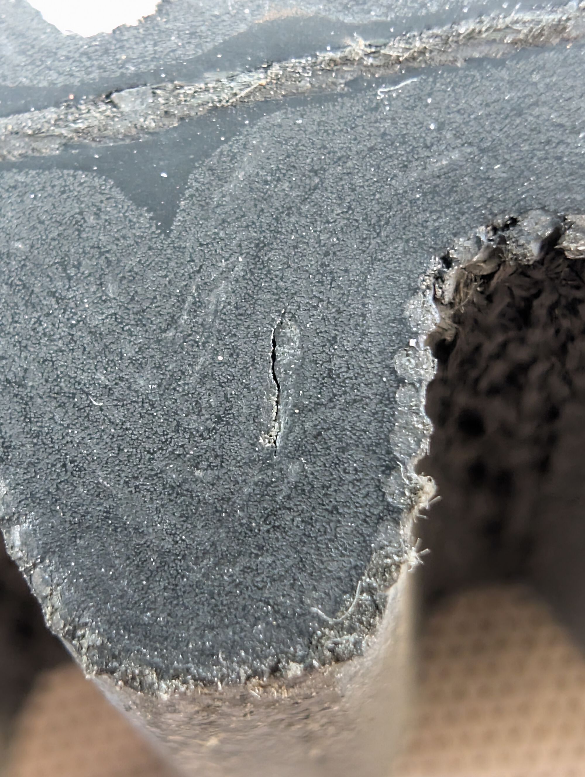 Forum member supplied image with no explanatory text