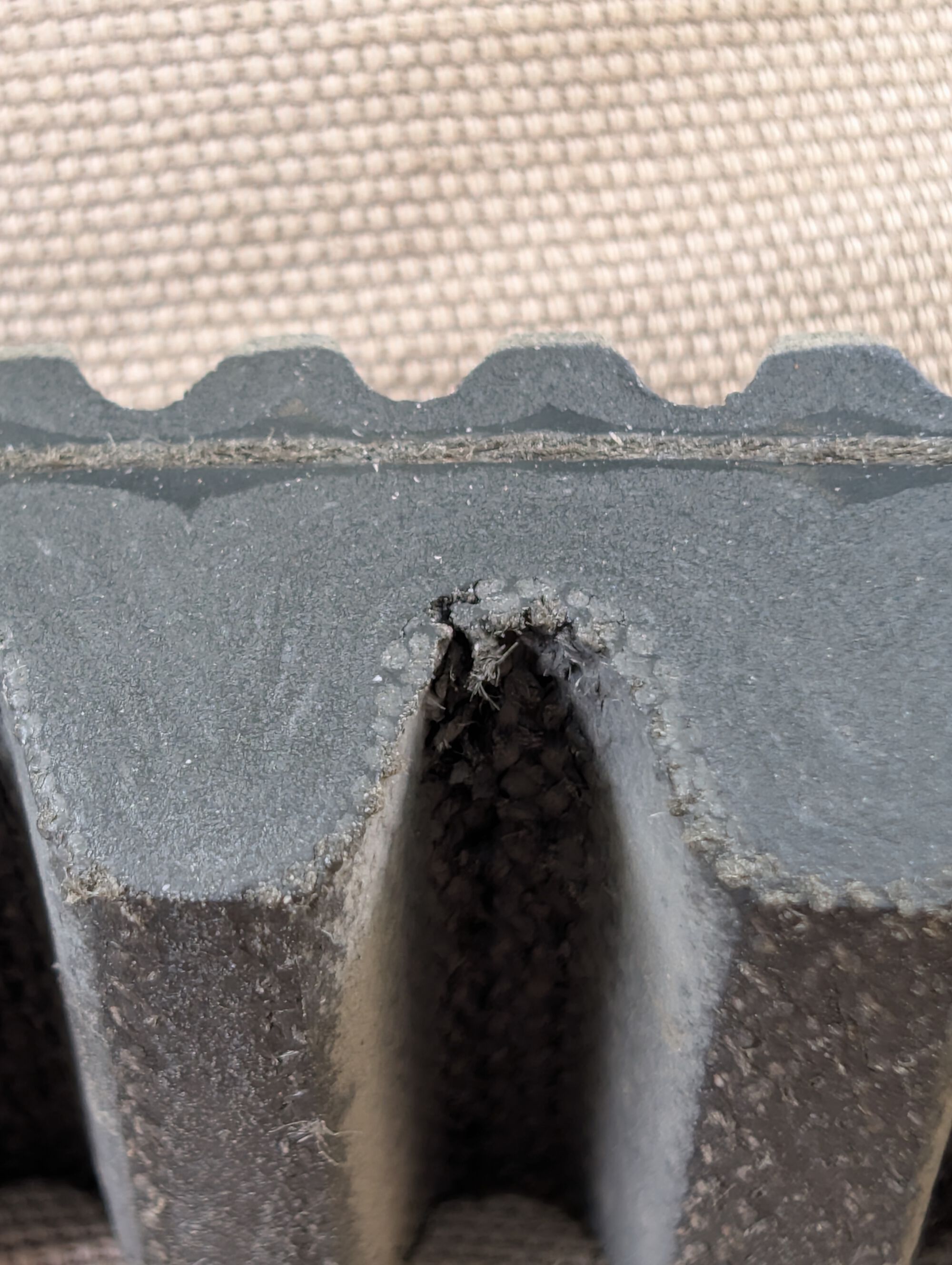 Forum member supplied image with no explanatory text