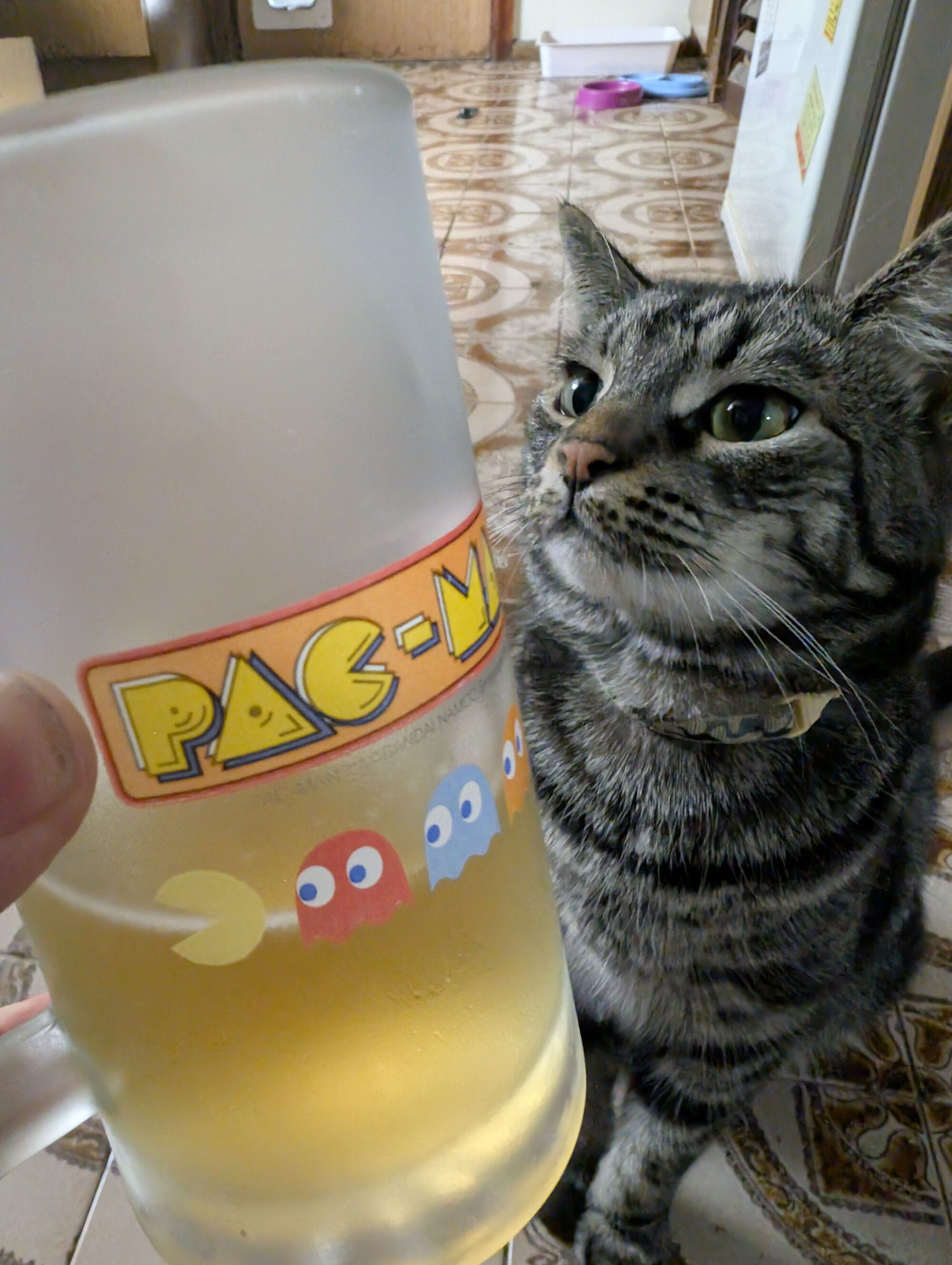 Forum member supplied image with no explanatory text