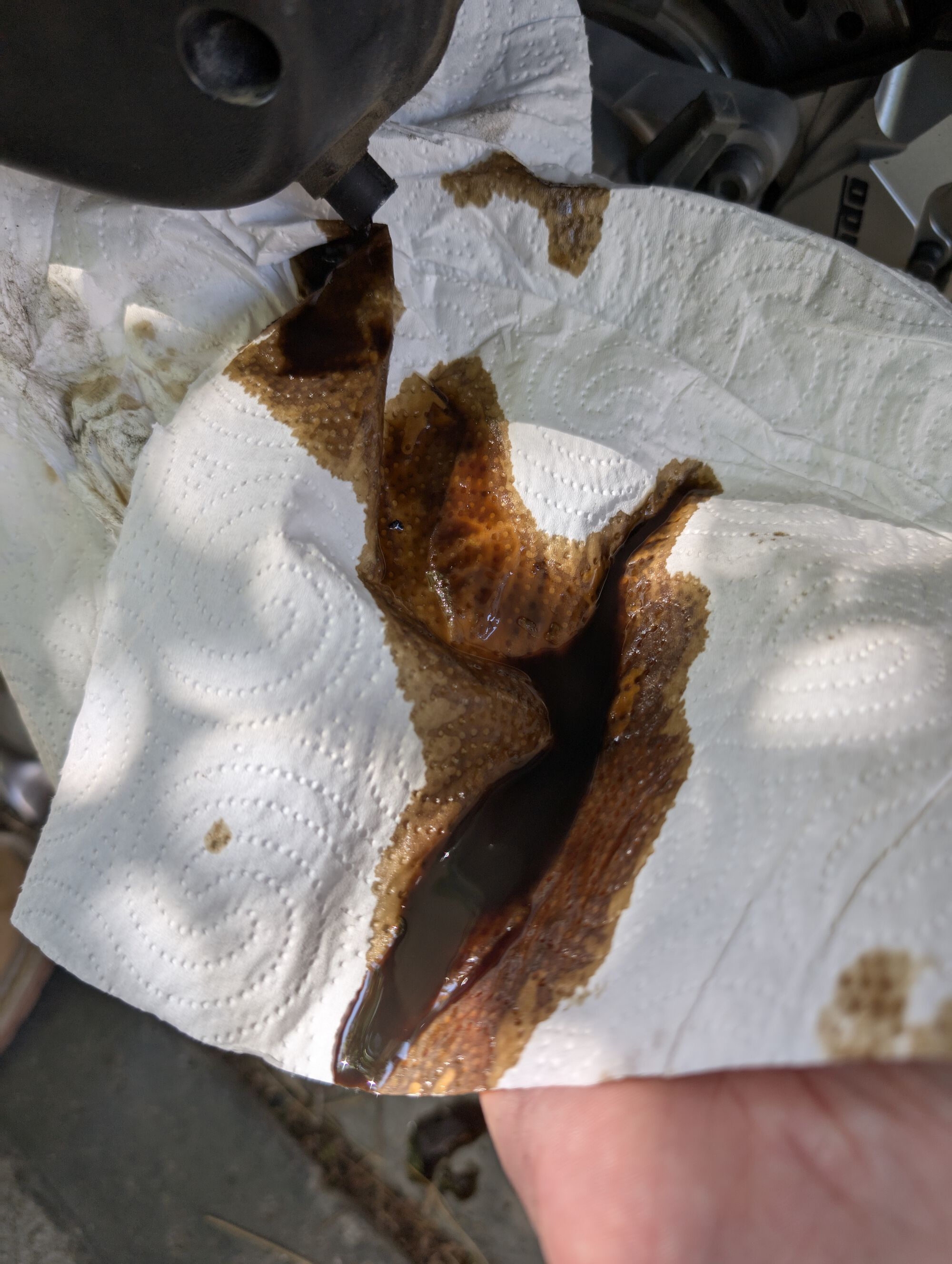 Forum member supplied image with no explanatory text