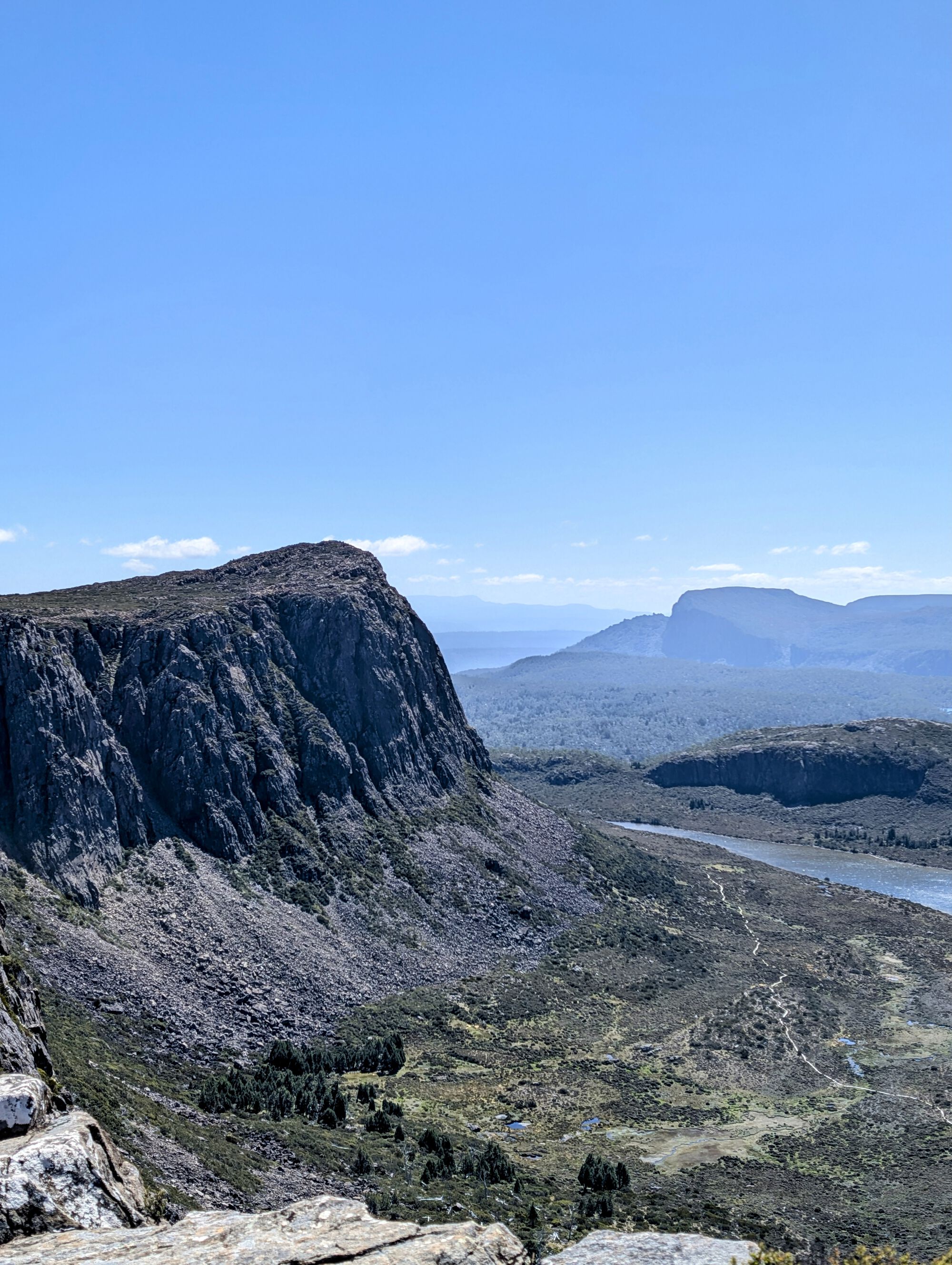 Forum member supplied image with no explanatory text