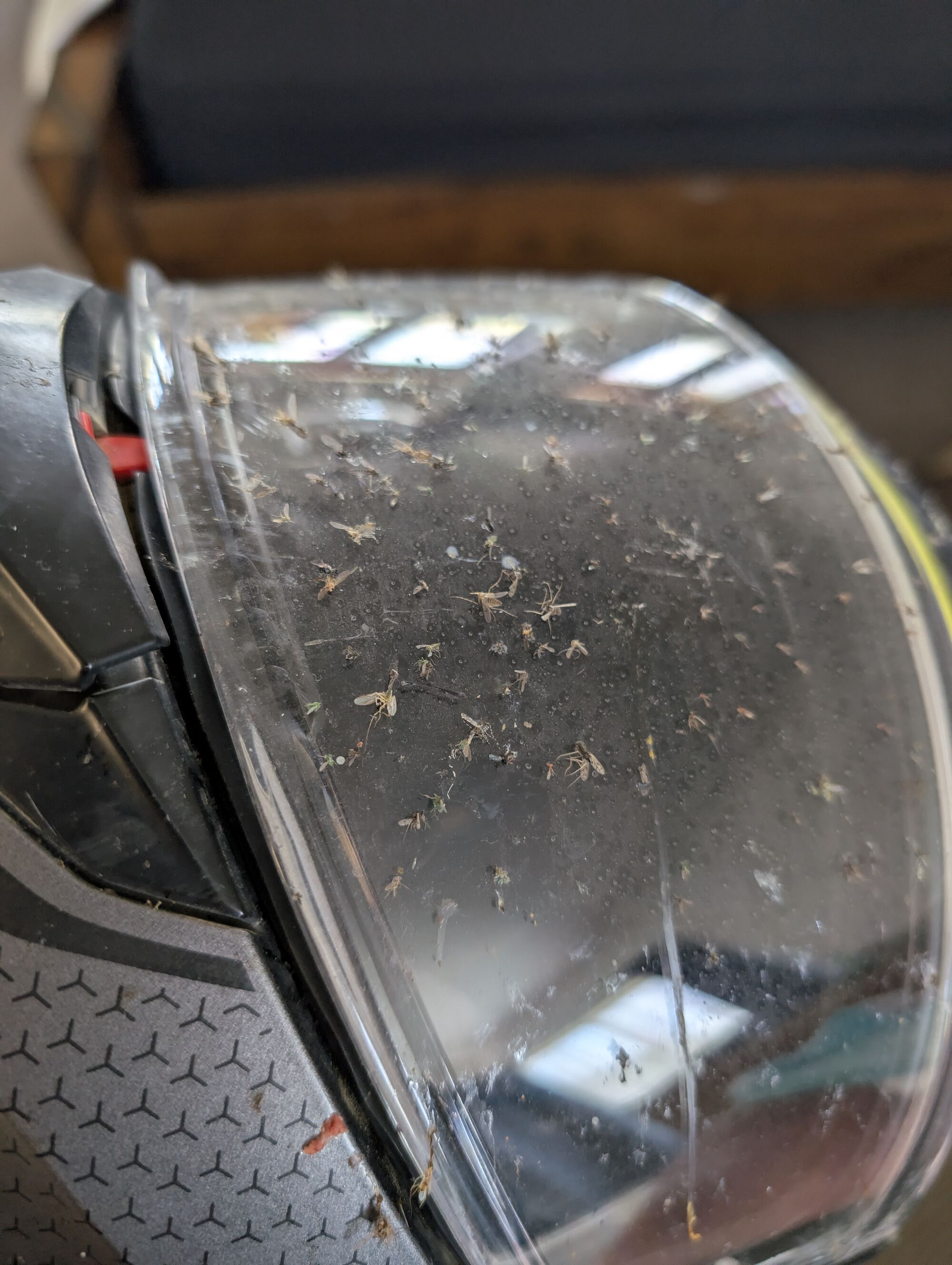 Forum member supplied image with no explanatory text