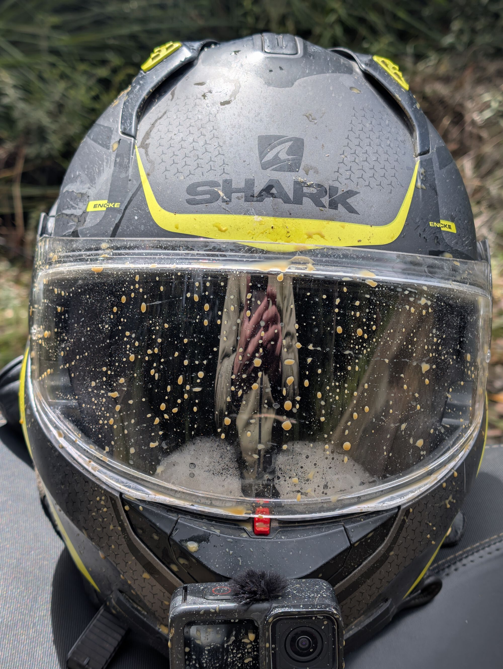 Forum member supplied image with no explanatory text