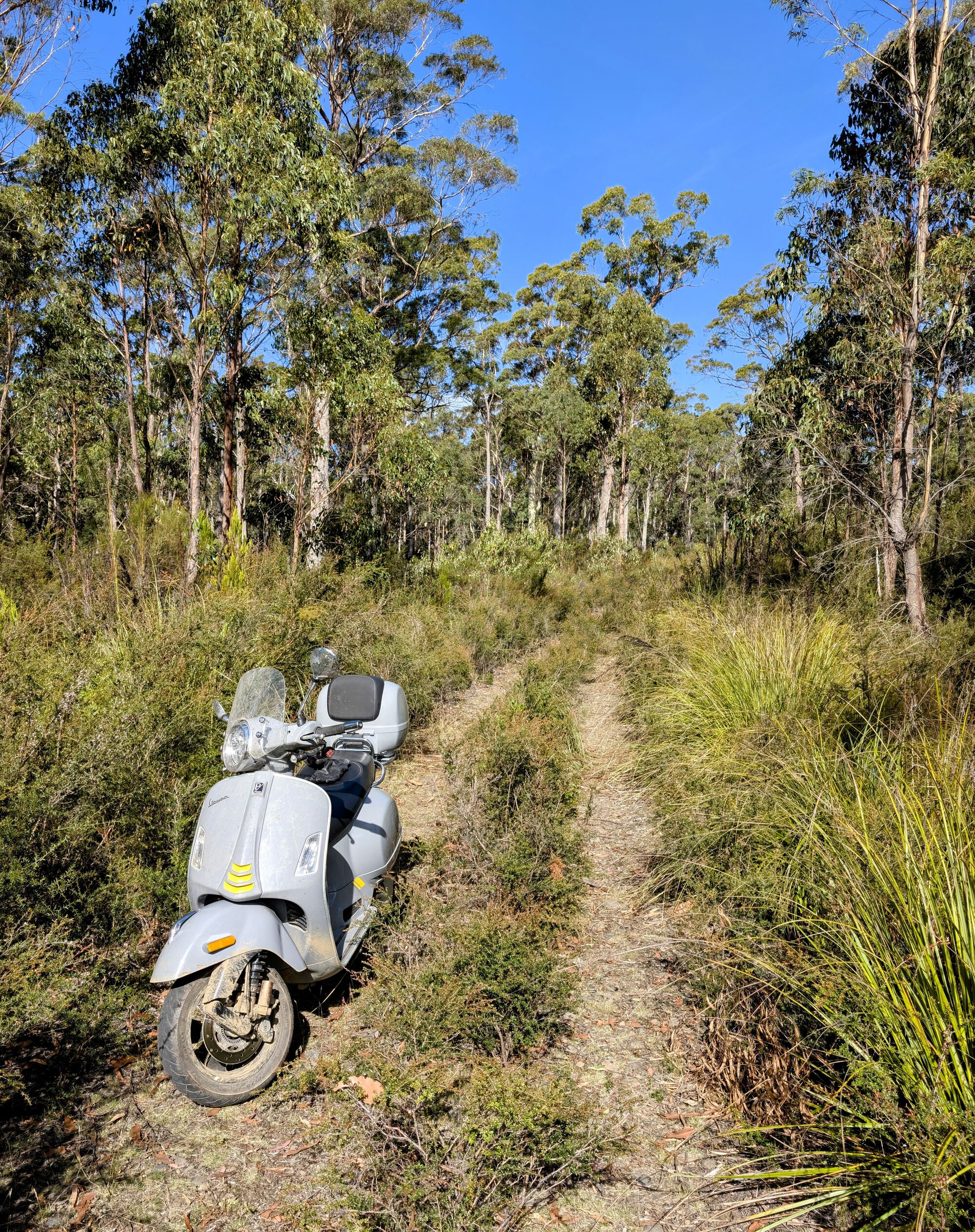 Forum member supplied image with no explanatory text