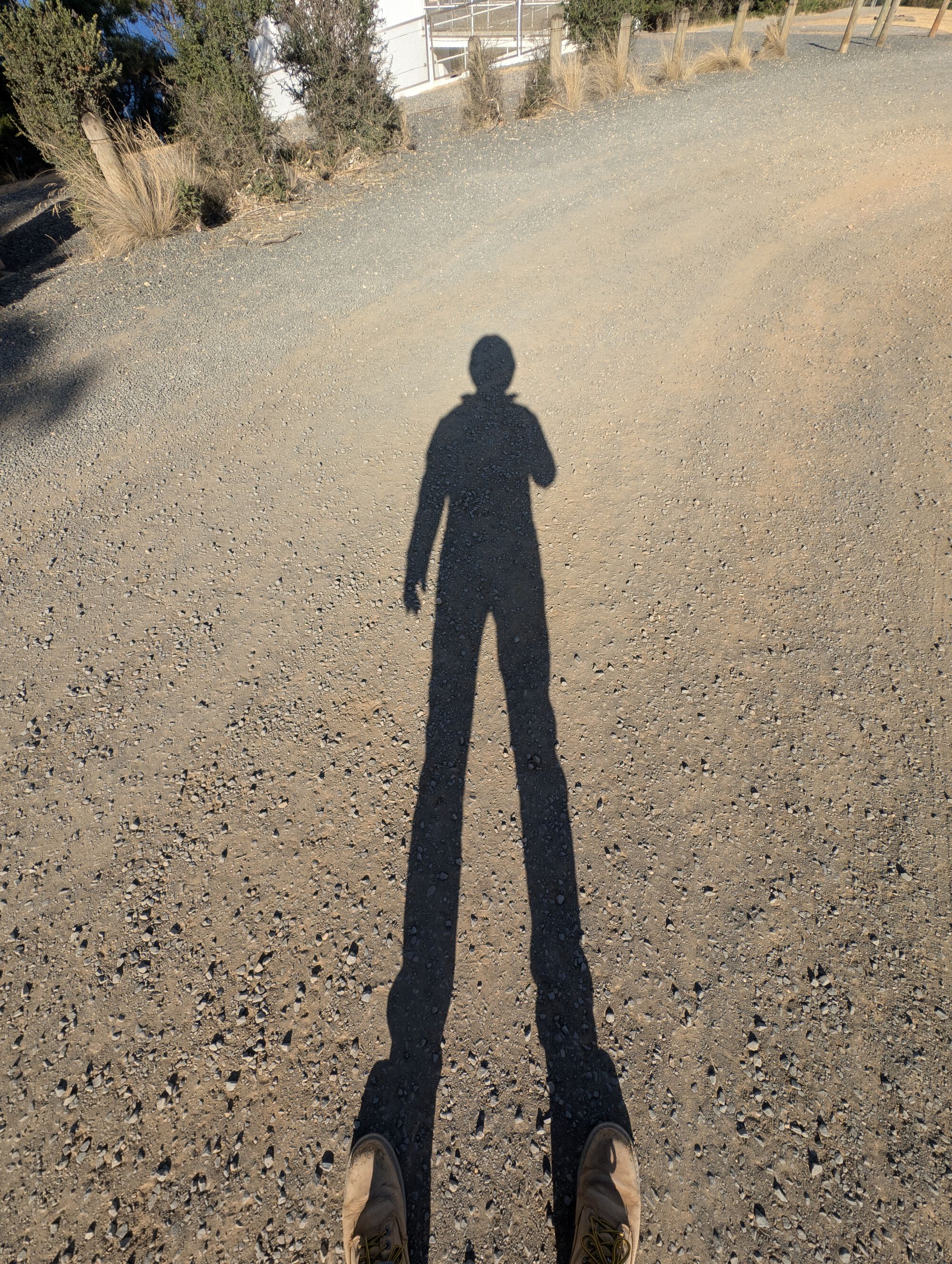 Forum member supplied image with no explanatory text