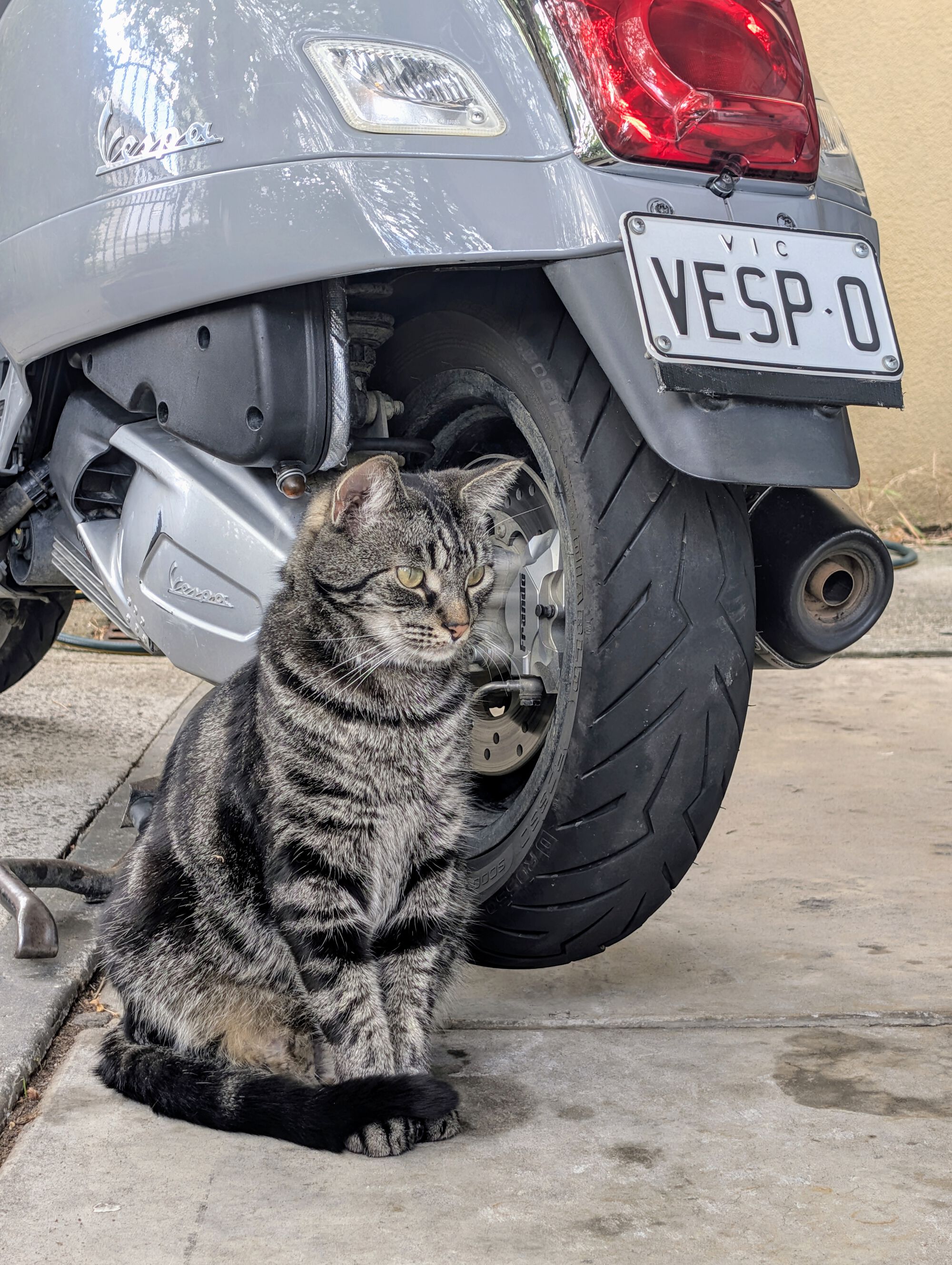 Forum member supplied image with no explanatory text