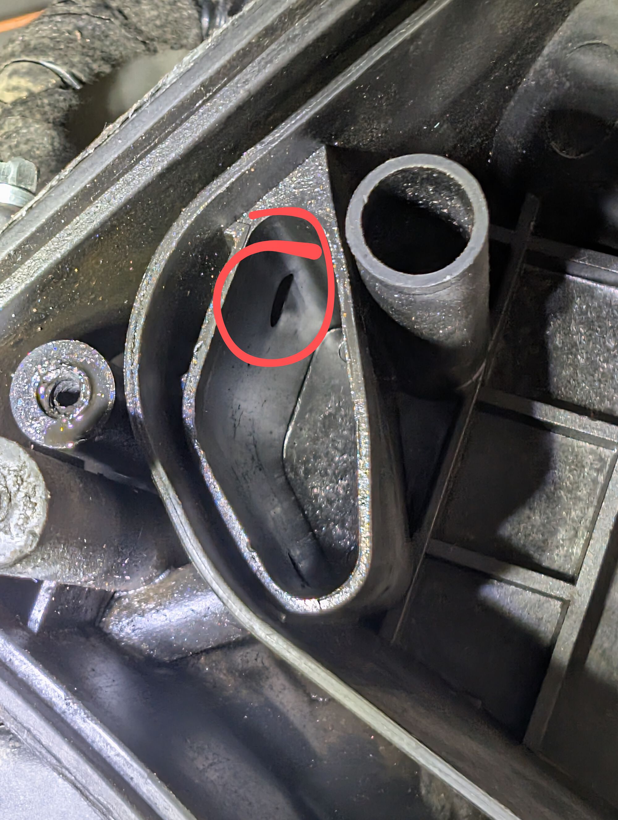 Forum member supplied image with no explanatory text