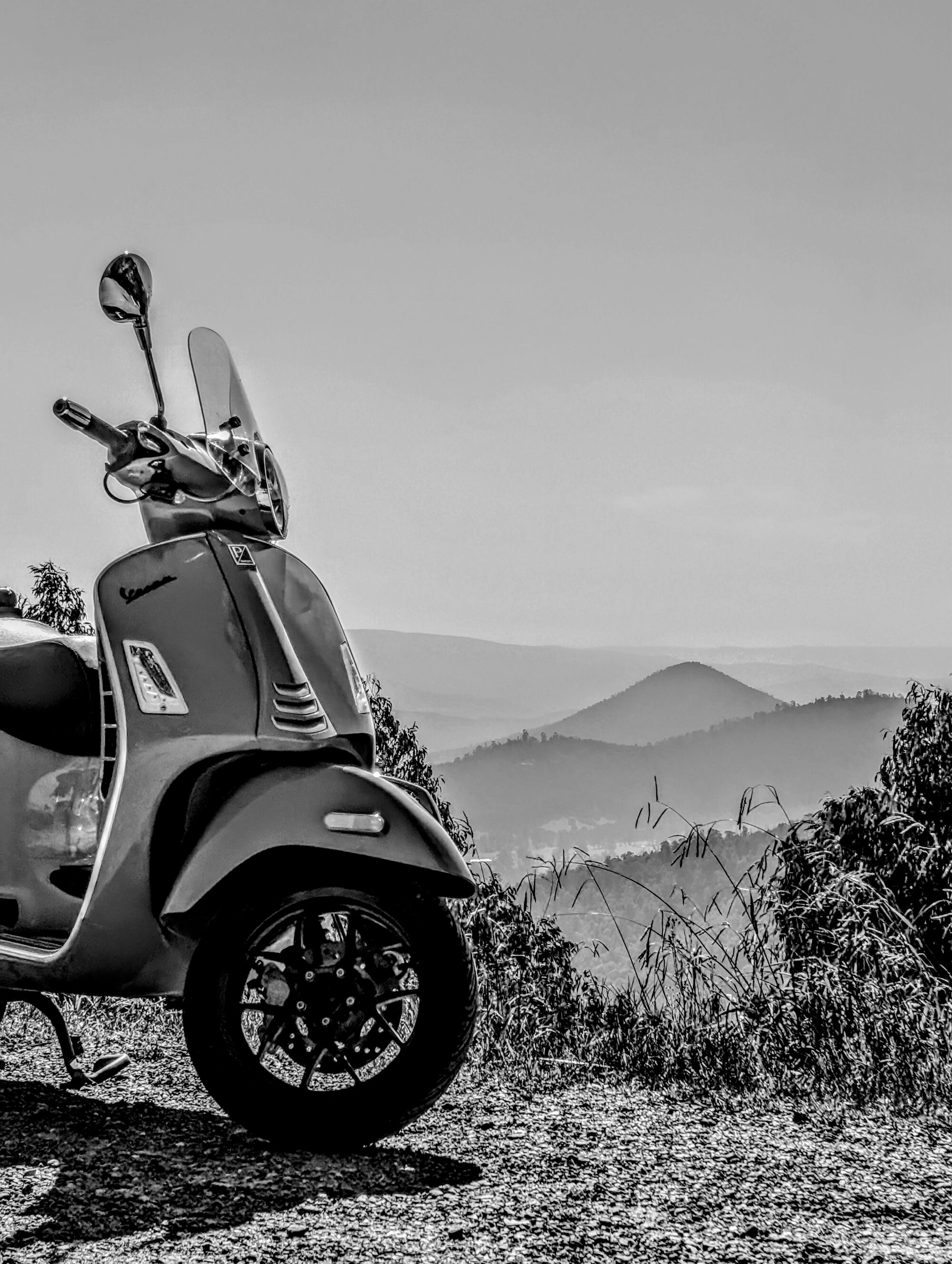 Forum member supplied image with no explanatory text