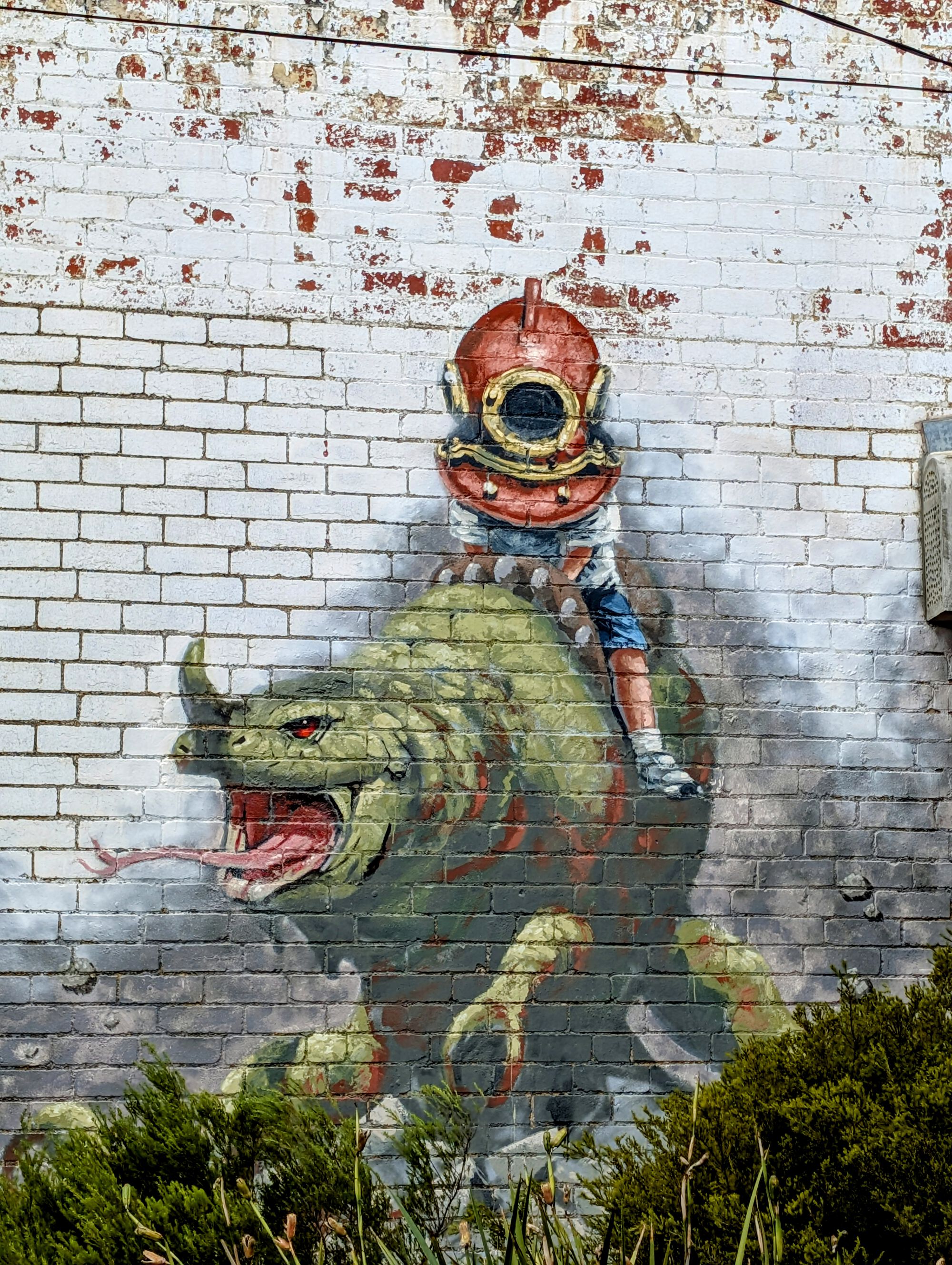 Forum member supplied image with no explanatory text