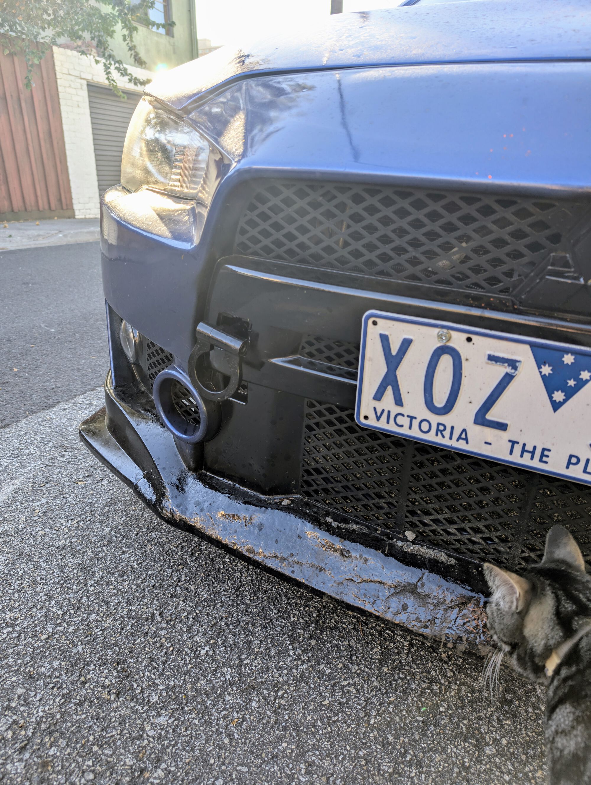 Forum member supplied image with no explanatory text