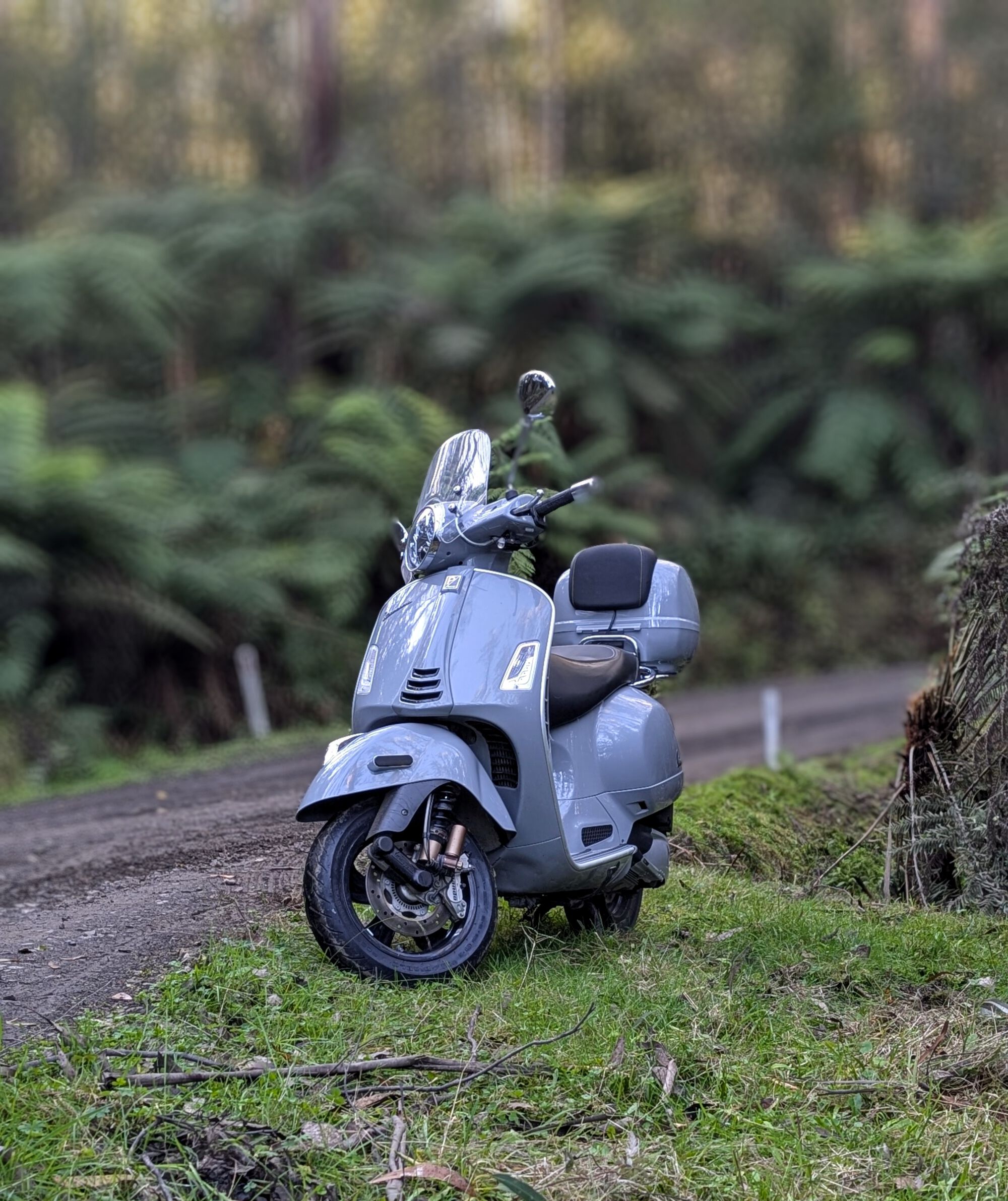 Forum member supplied image with no explanatory text