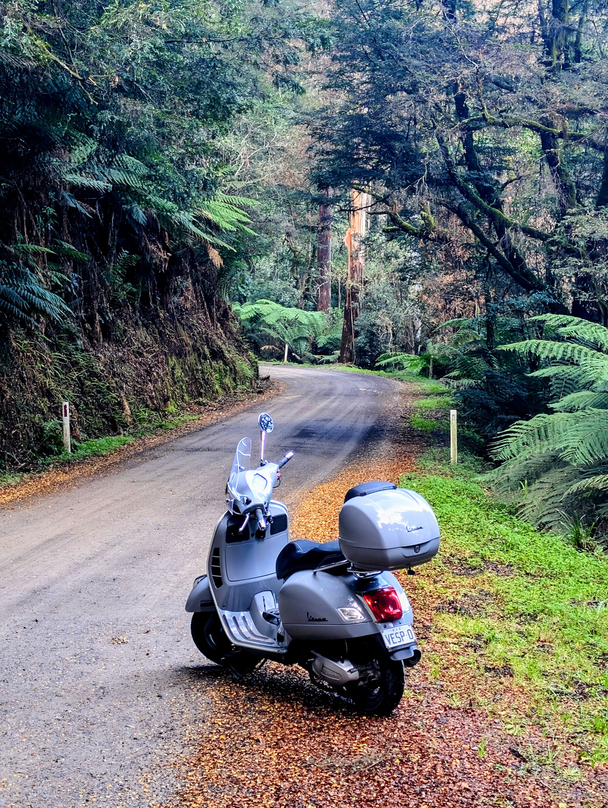 Forum member supplied image with no explanatory text