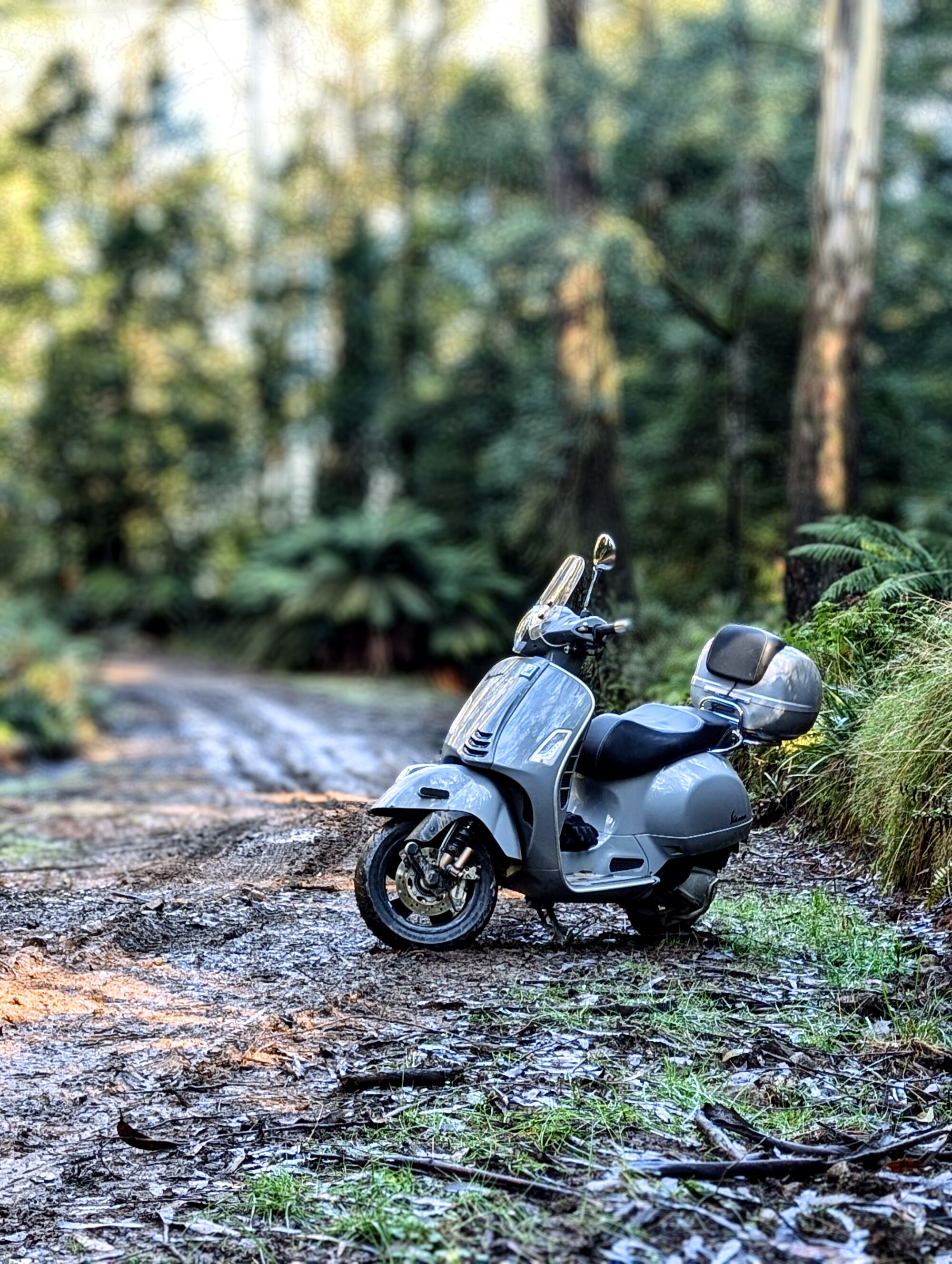 Forum member supplied image with no explanatory text