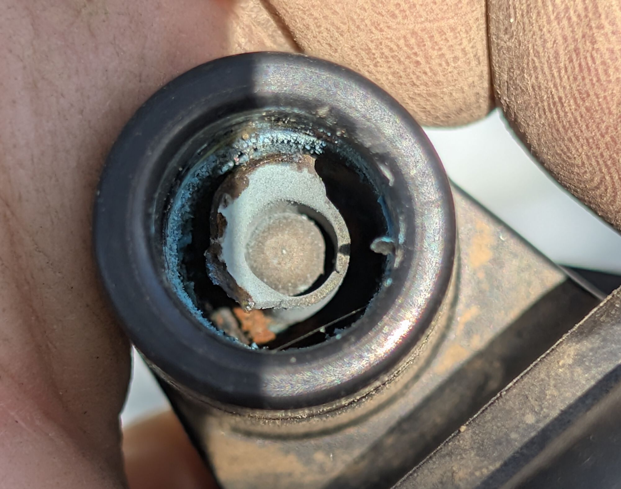 Forum member supplied image with no explanatory text