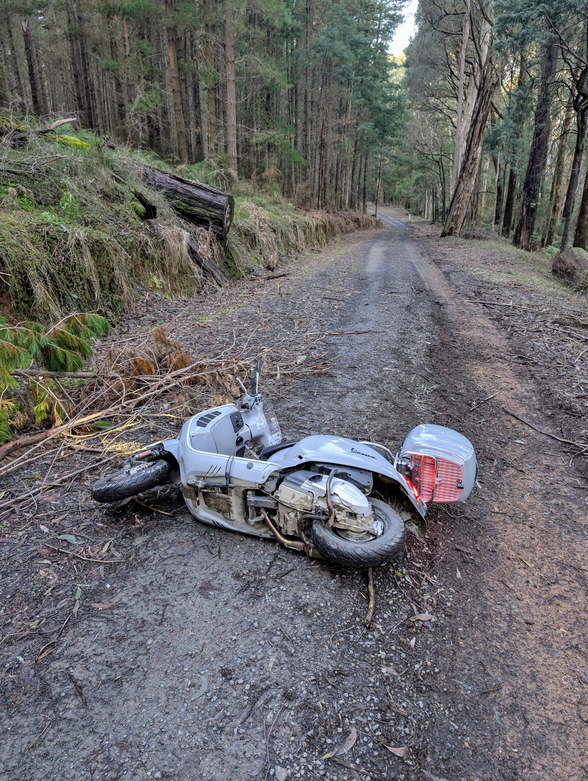 Forum member supplied image with no explanatory text