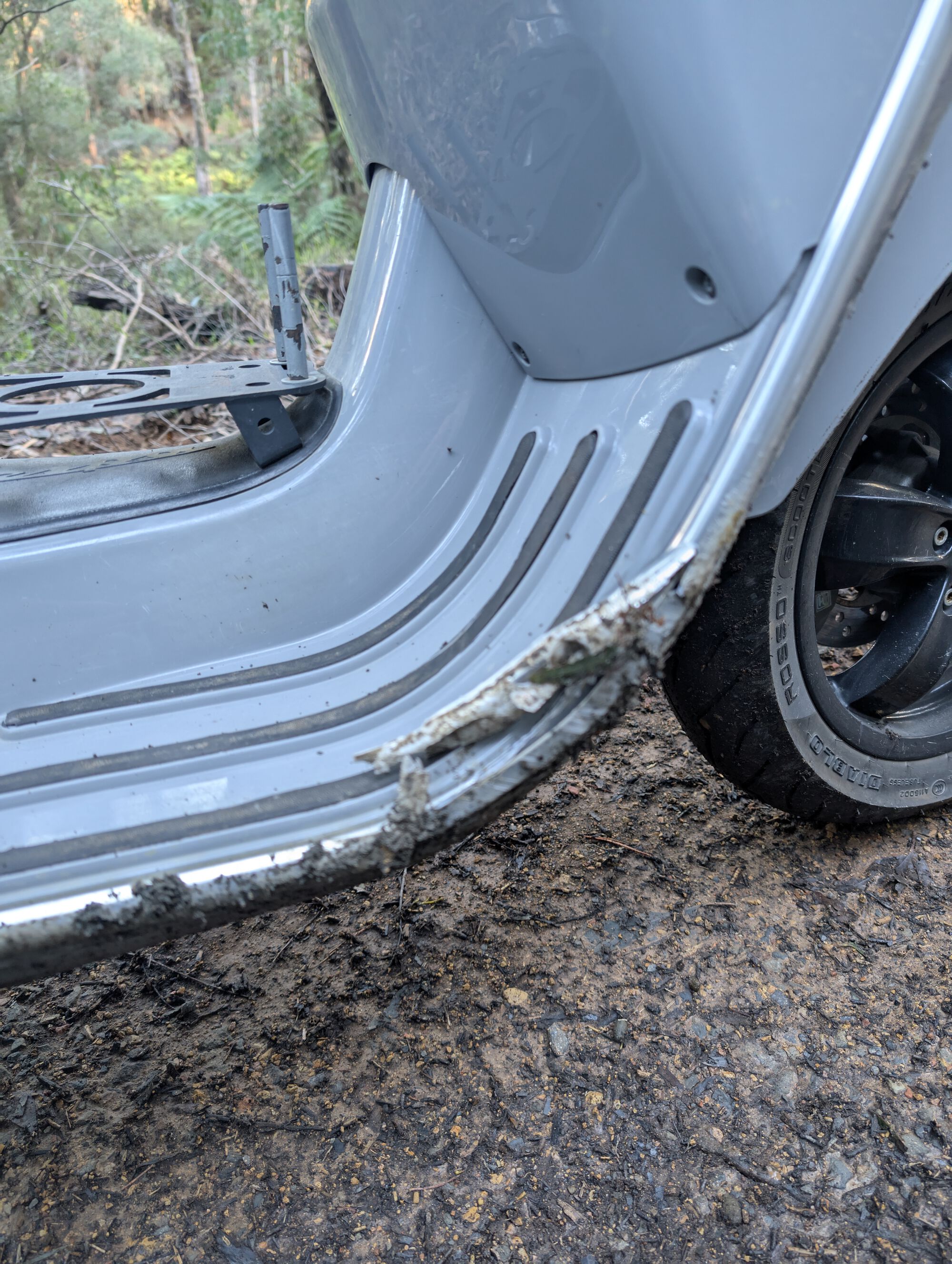 Forum member supplied image with no explanatory text