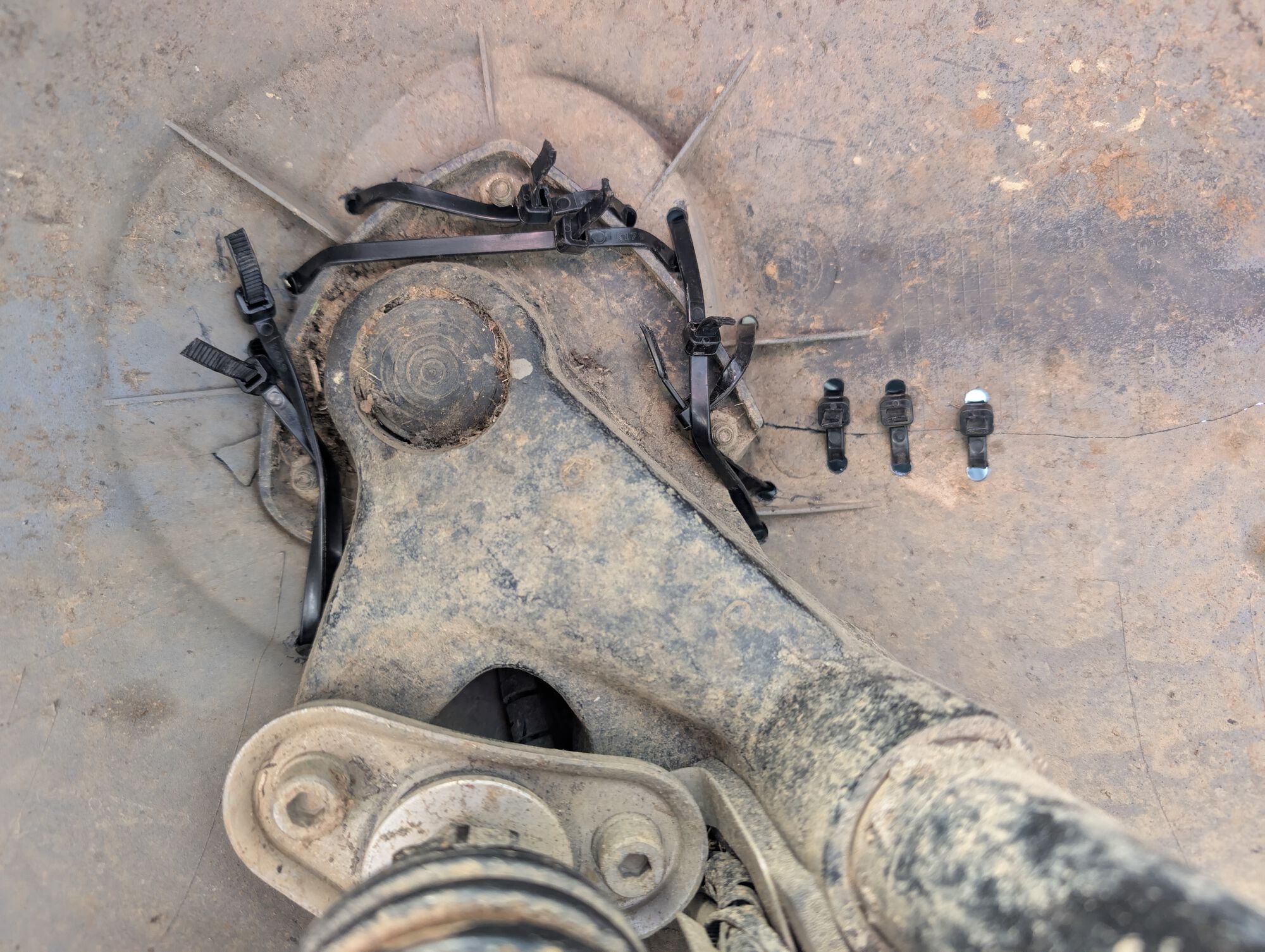 Forum member supplied image with no explanatory text