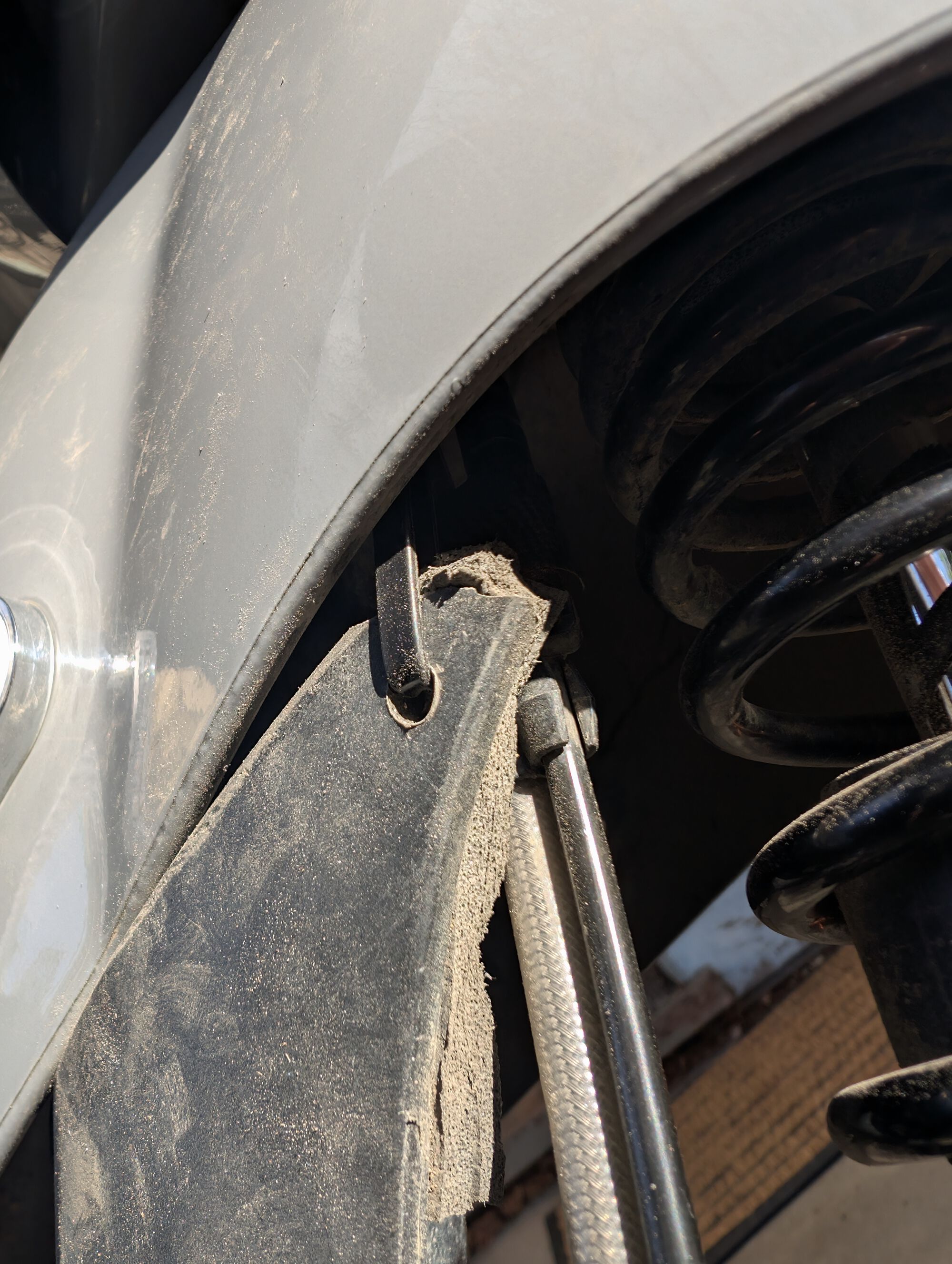 Forum member supplied image with no explanatory text