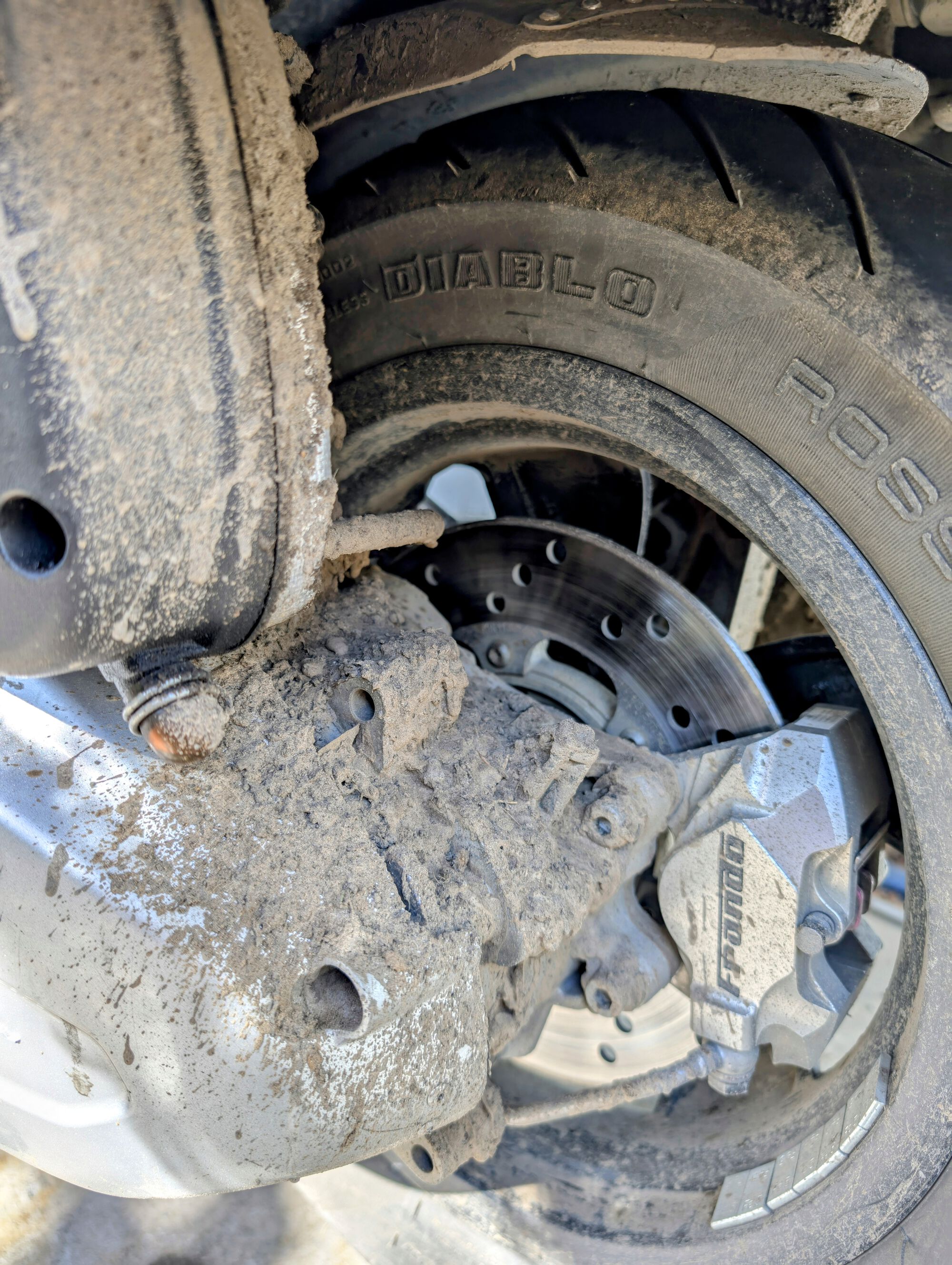 Forum member supplied image with no explanatory text