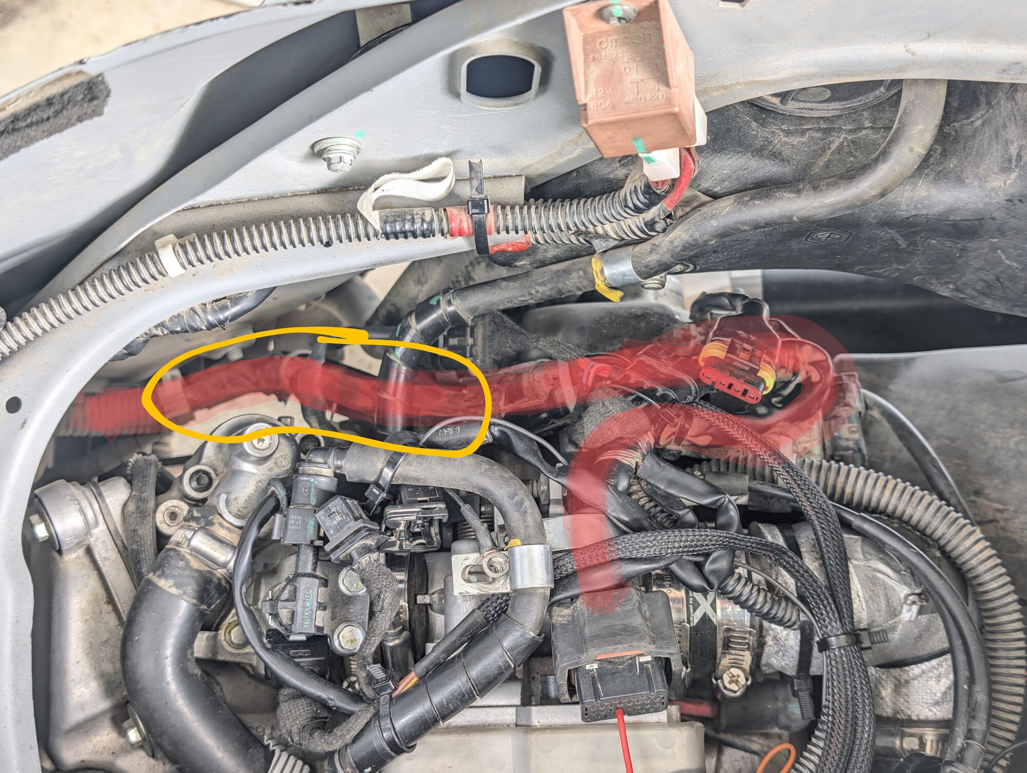 Forum member supplied image with no explanatory text