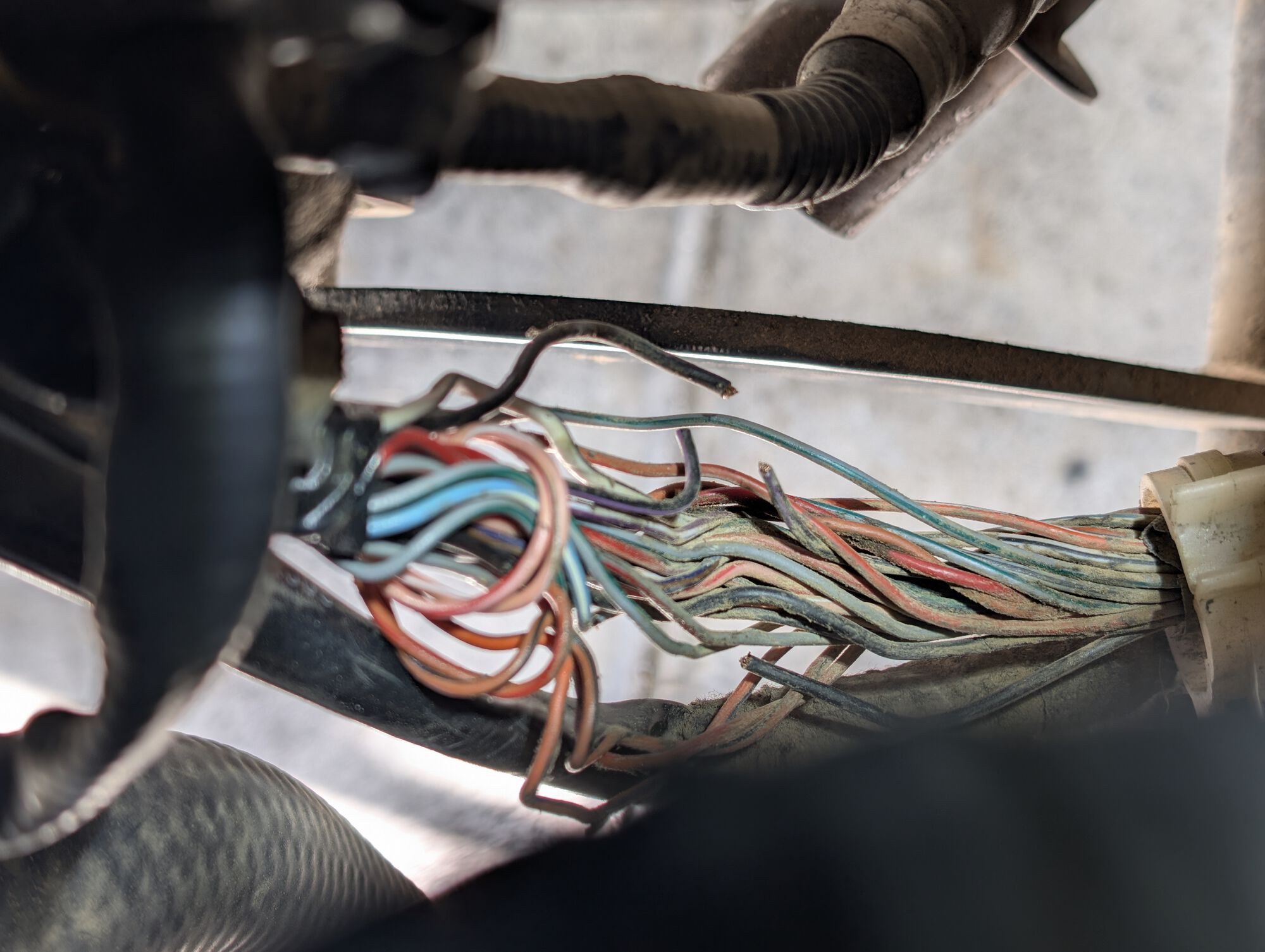 Forum member supplied image with no explanatory text