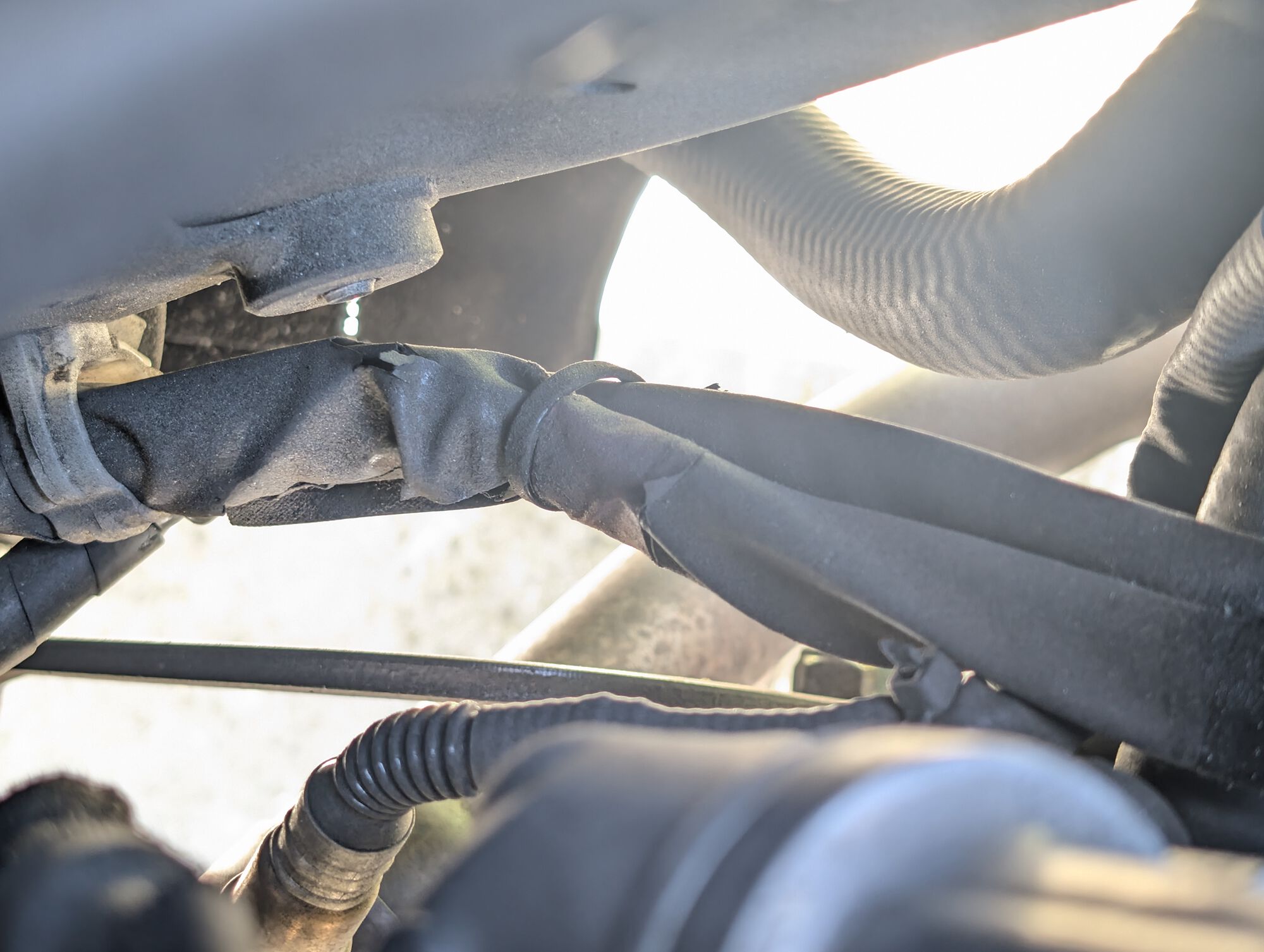 Forum member supplied image with no explanatory text