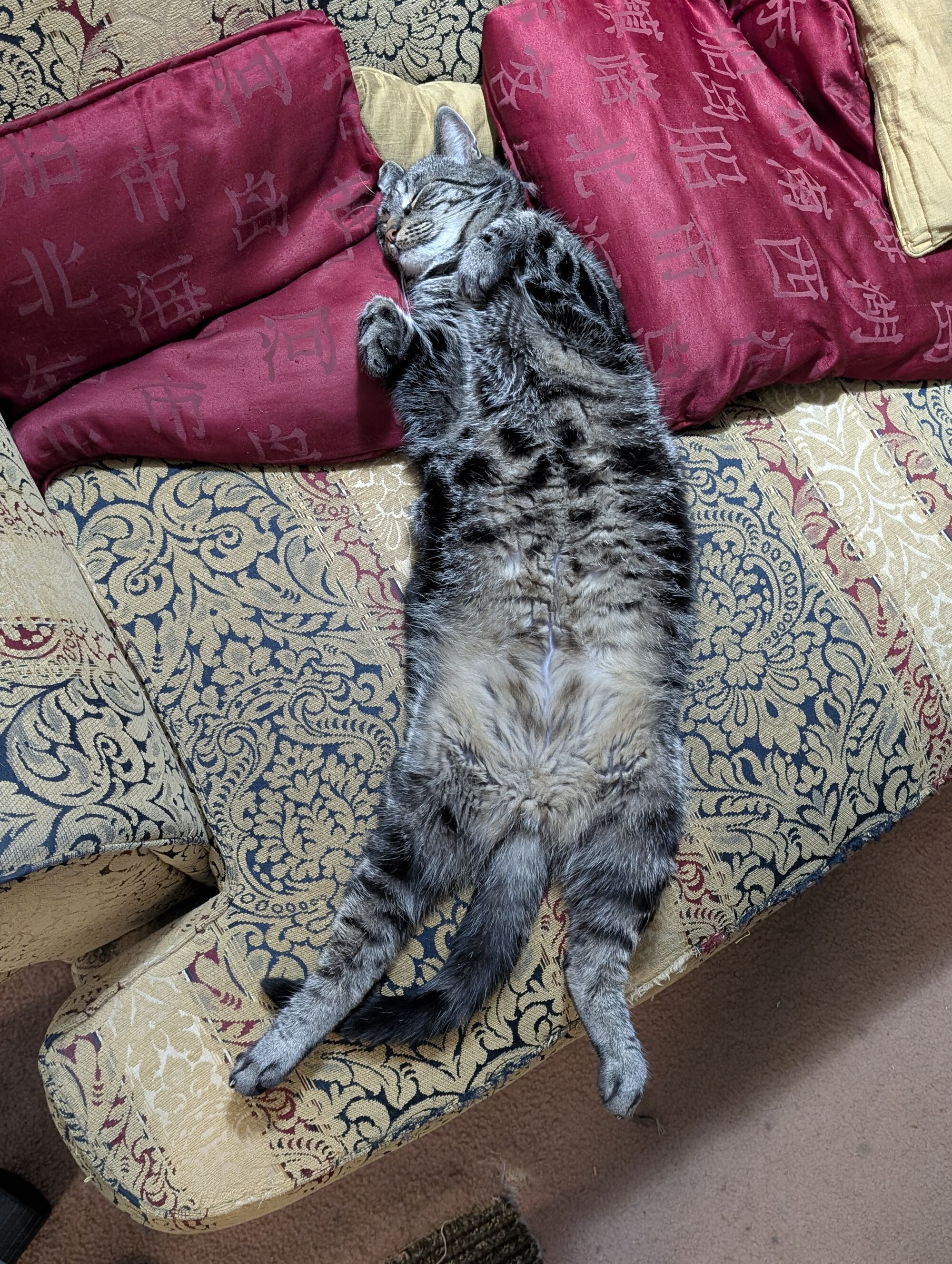 Forum member supplied image with no explanatory text