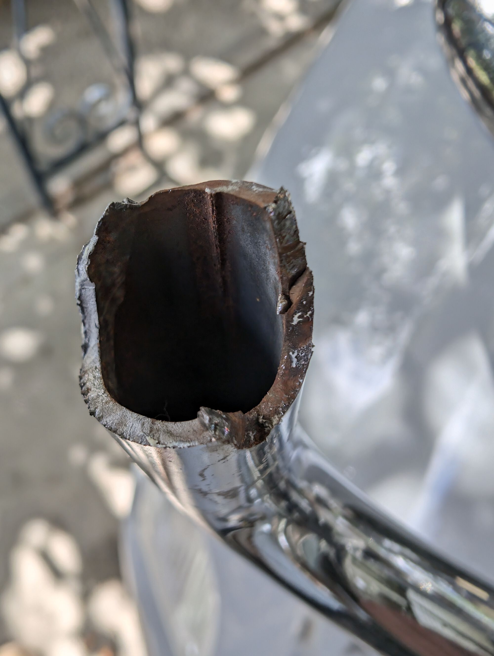 Forum member supplied image with no explanatory text