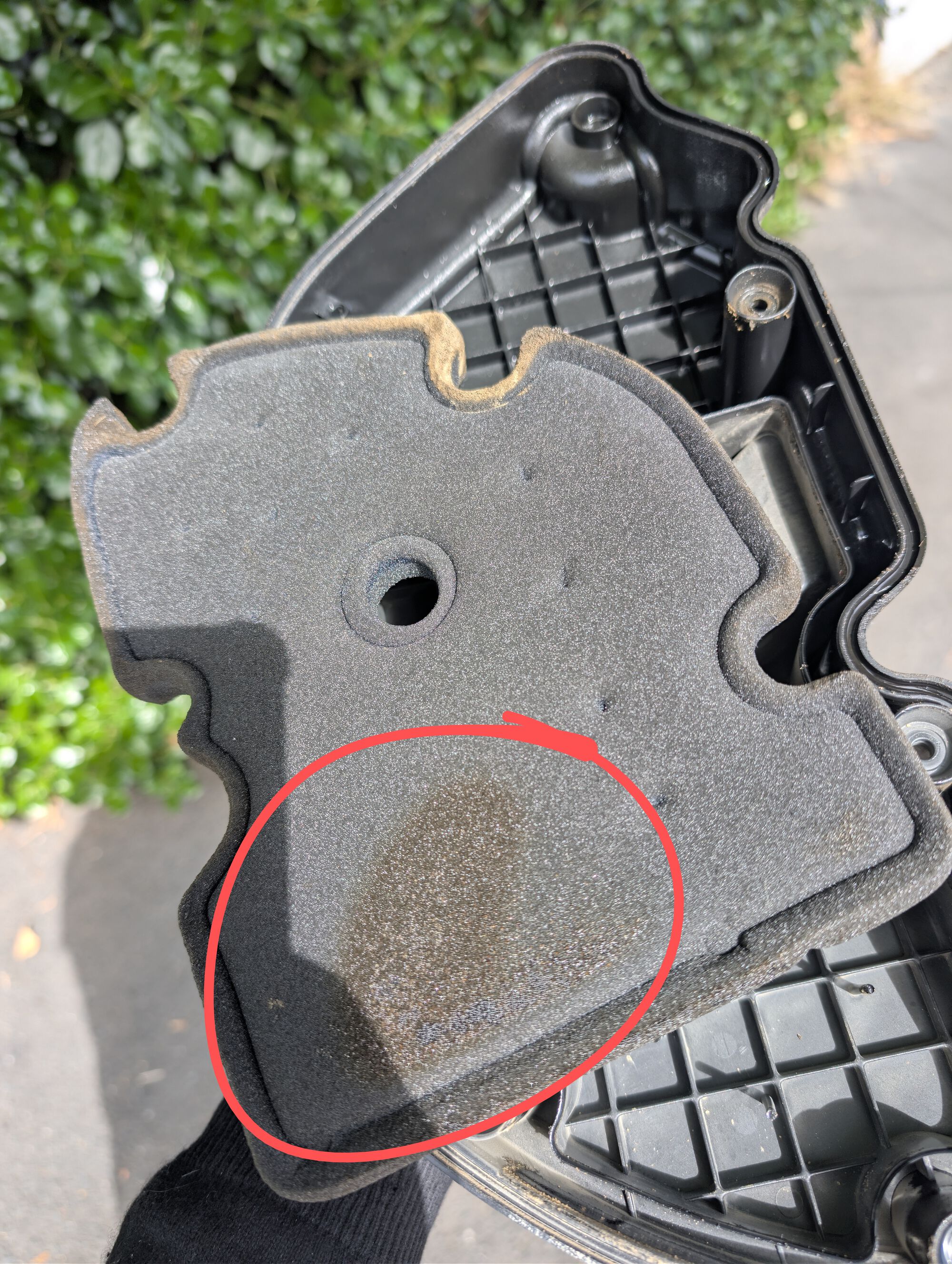 Forum member supplied image with no explanatory text