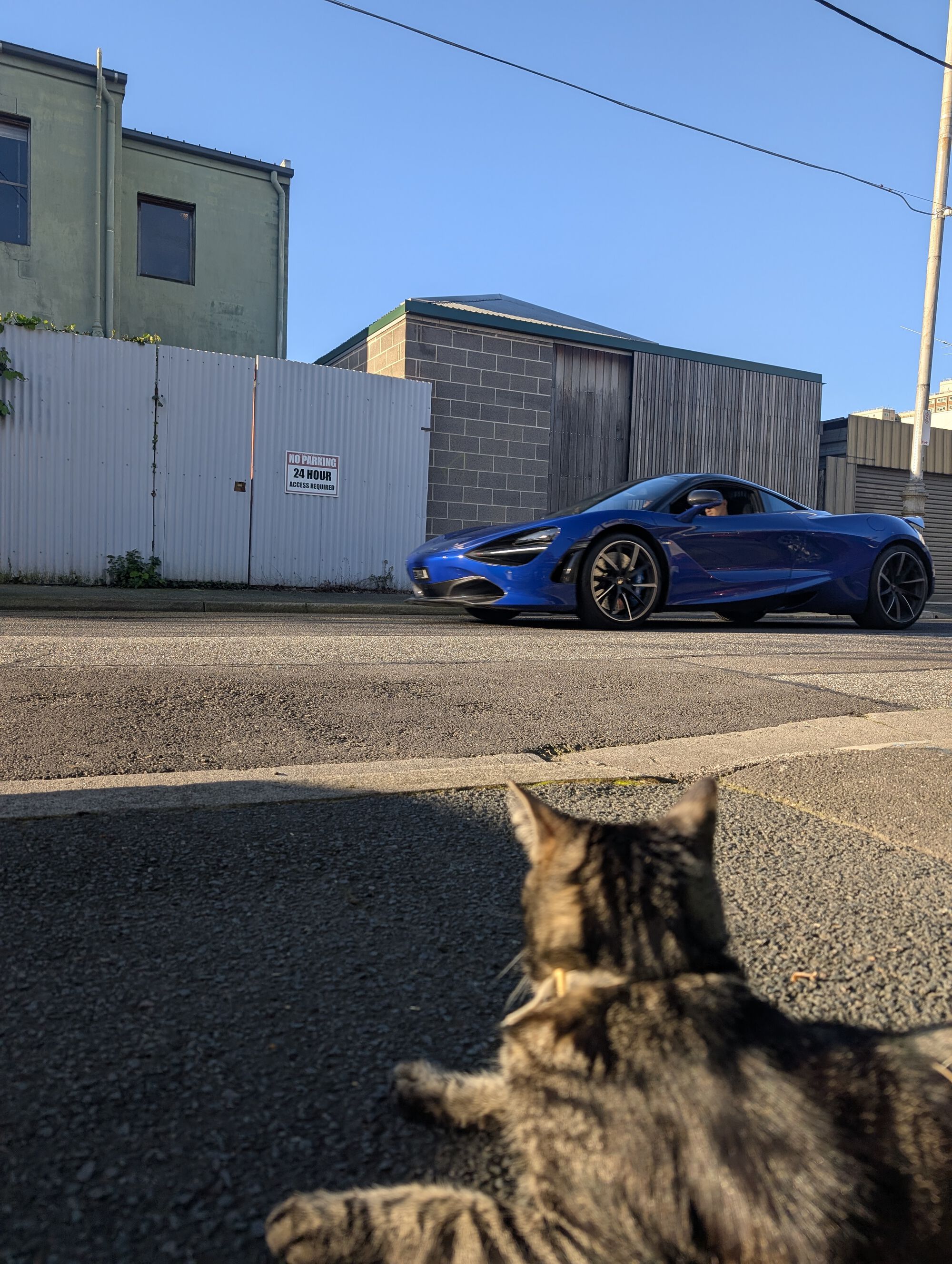 Forum member supplied image with no explanatory text