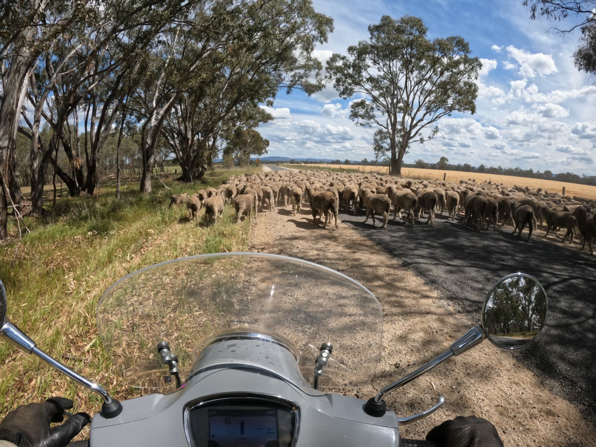 Forum member supplied image with no explanatory text