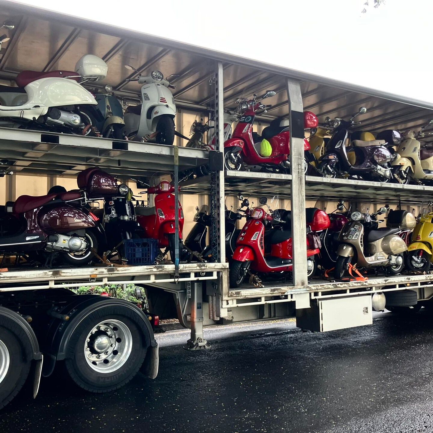 Forum member supplied image with no explanatory text