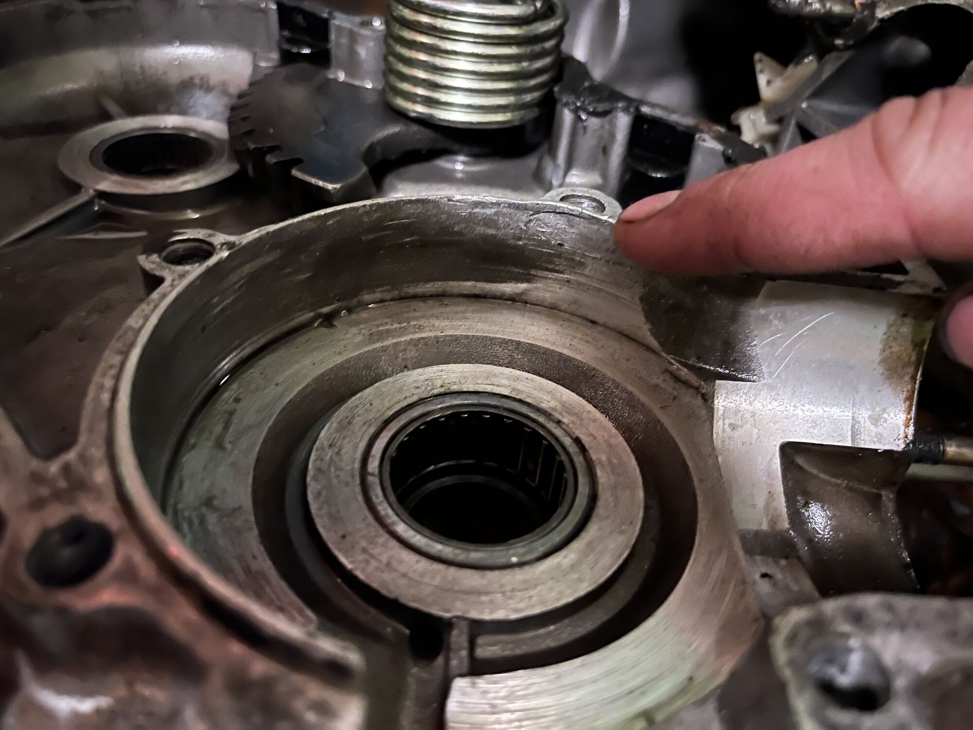 Forum member supplied image with no explanatory text