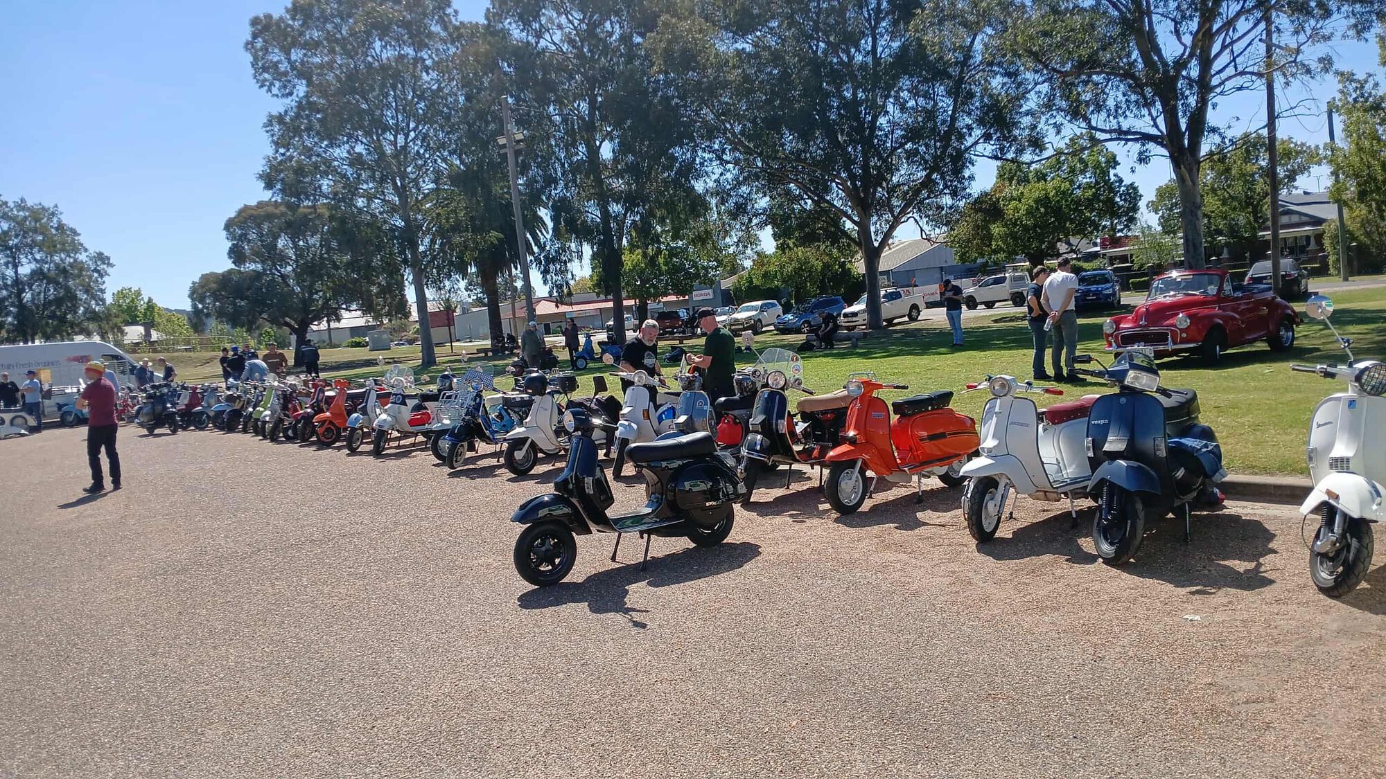 Scooters everywhere & not a twistie in sight