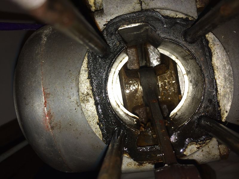 Forum member supplied image with no explanatory text