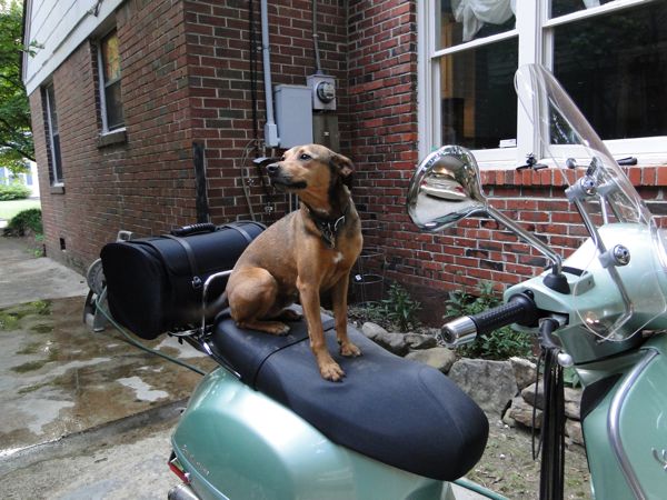 Forum member supplied image with no explanatory text