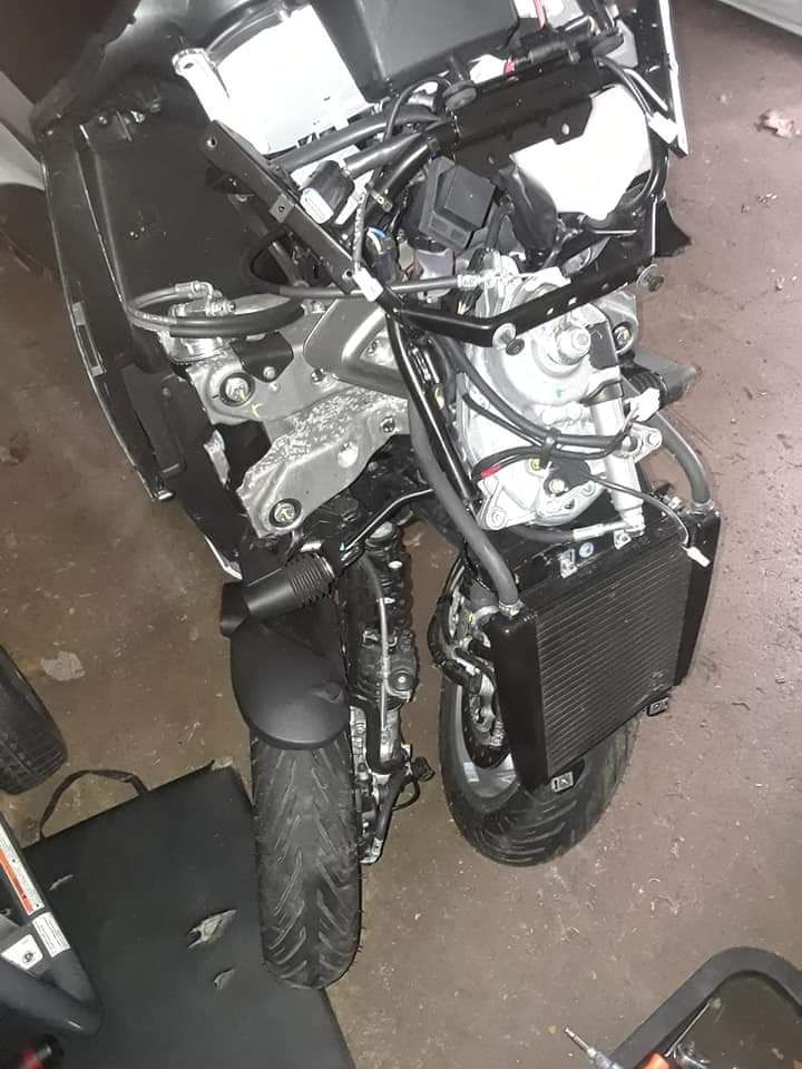 Forum member supplied image with no explanatory text