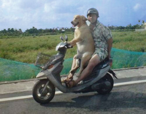Forum member supplied image with no explanatory text